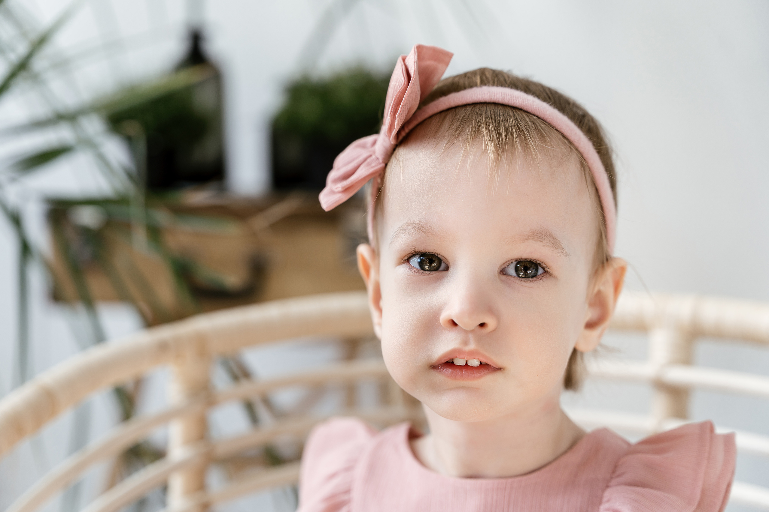 Томсон. Фотограф Томск, Новосибирск Влад Свириденко