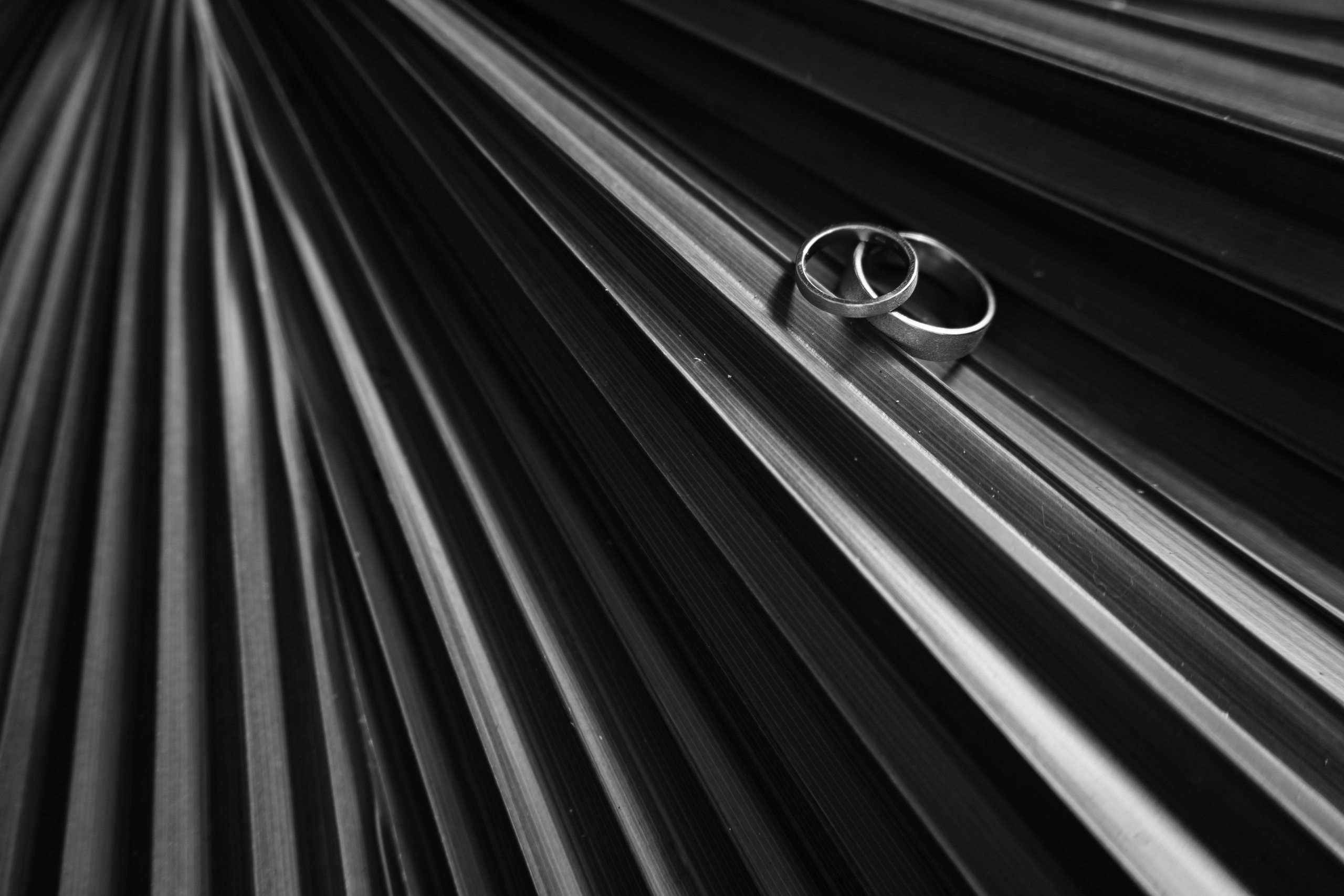 Анонс 17.04. Фотограф Томск, Новосибирск Влад Свириденко