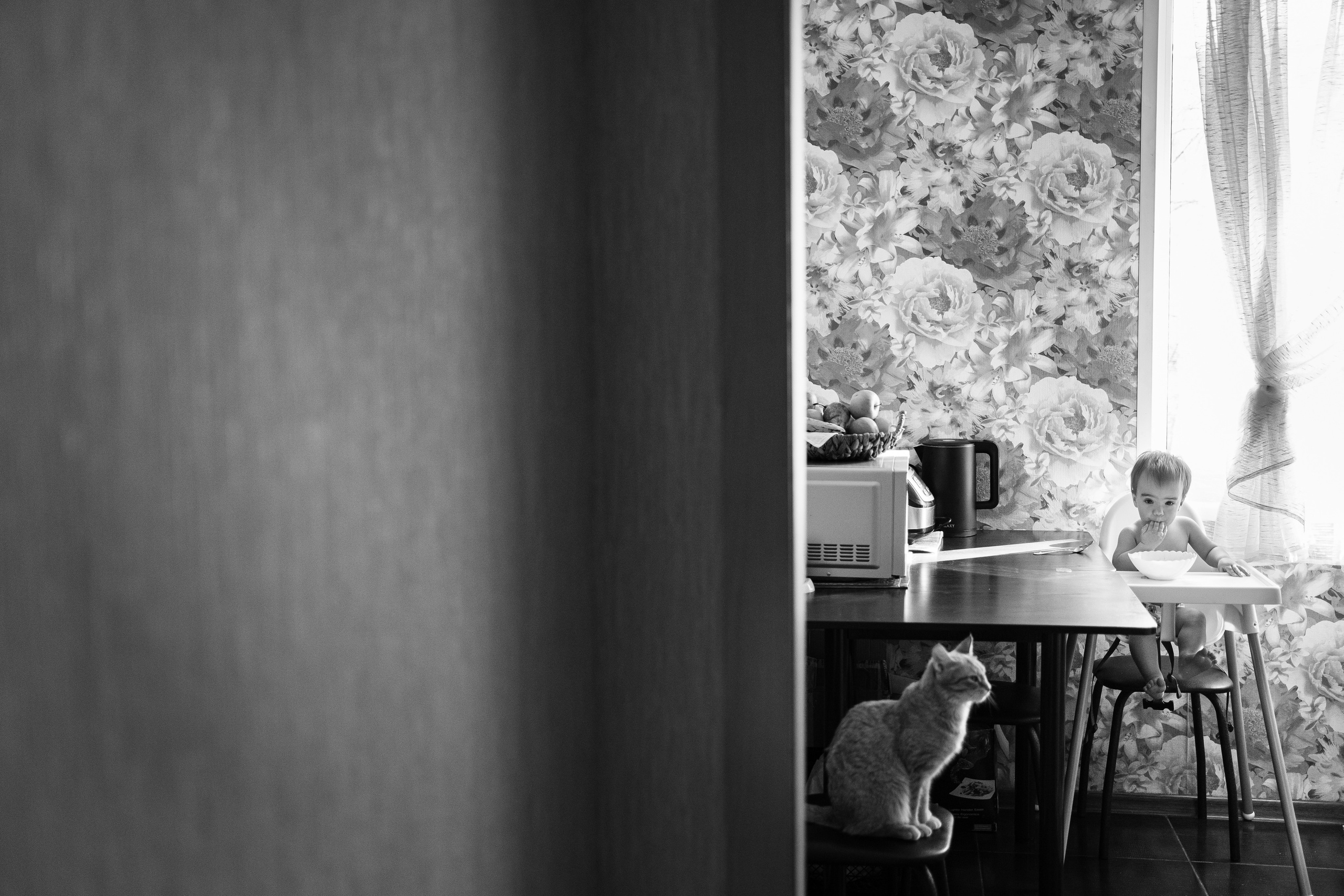 Домашний праздник. Фотограф Томск, Новосибирск Влад Свириденко