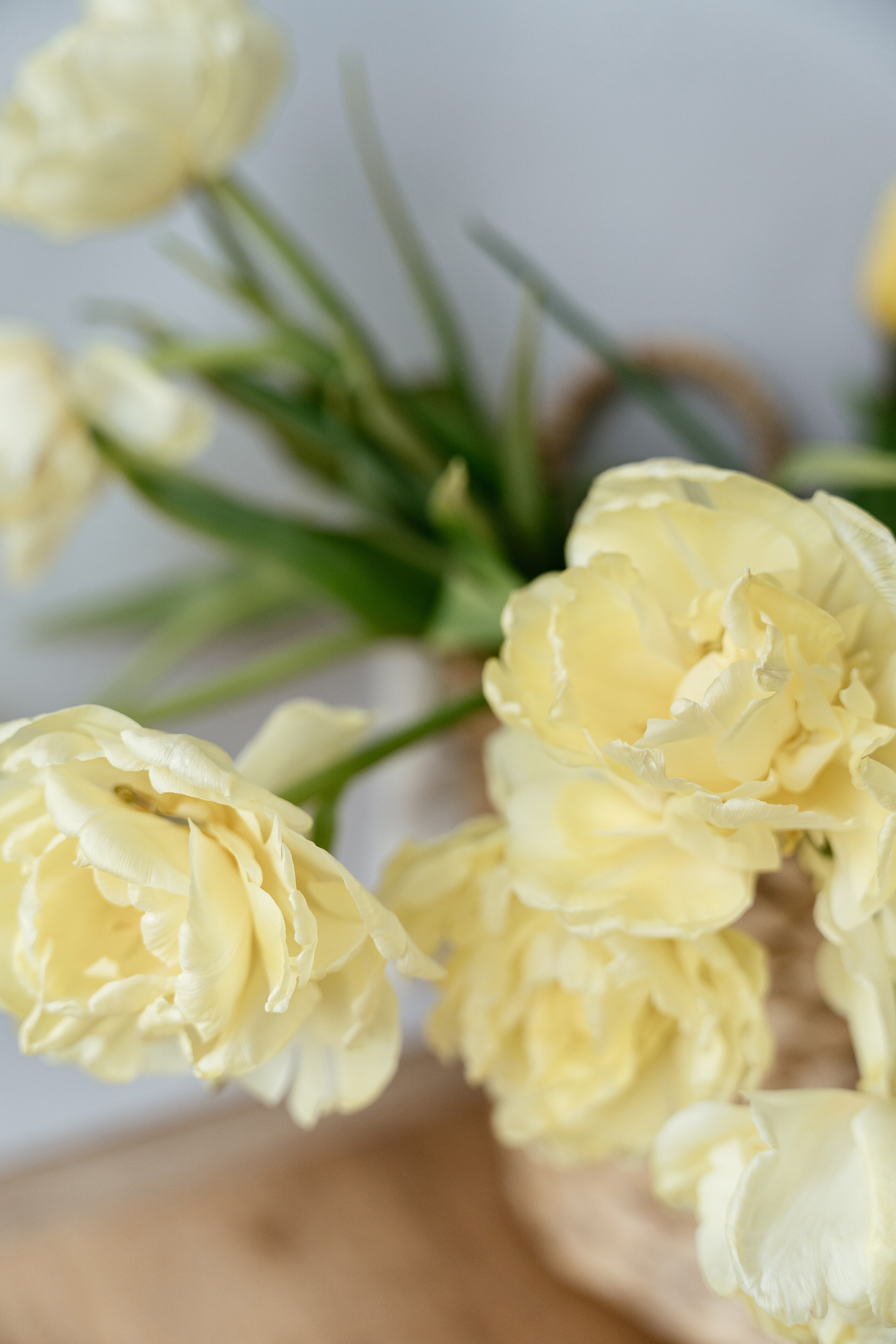 Мама и Дочь. Фотограф Томск, Новосибирск Влад Свириденко