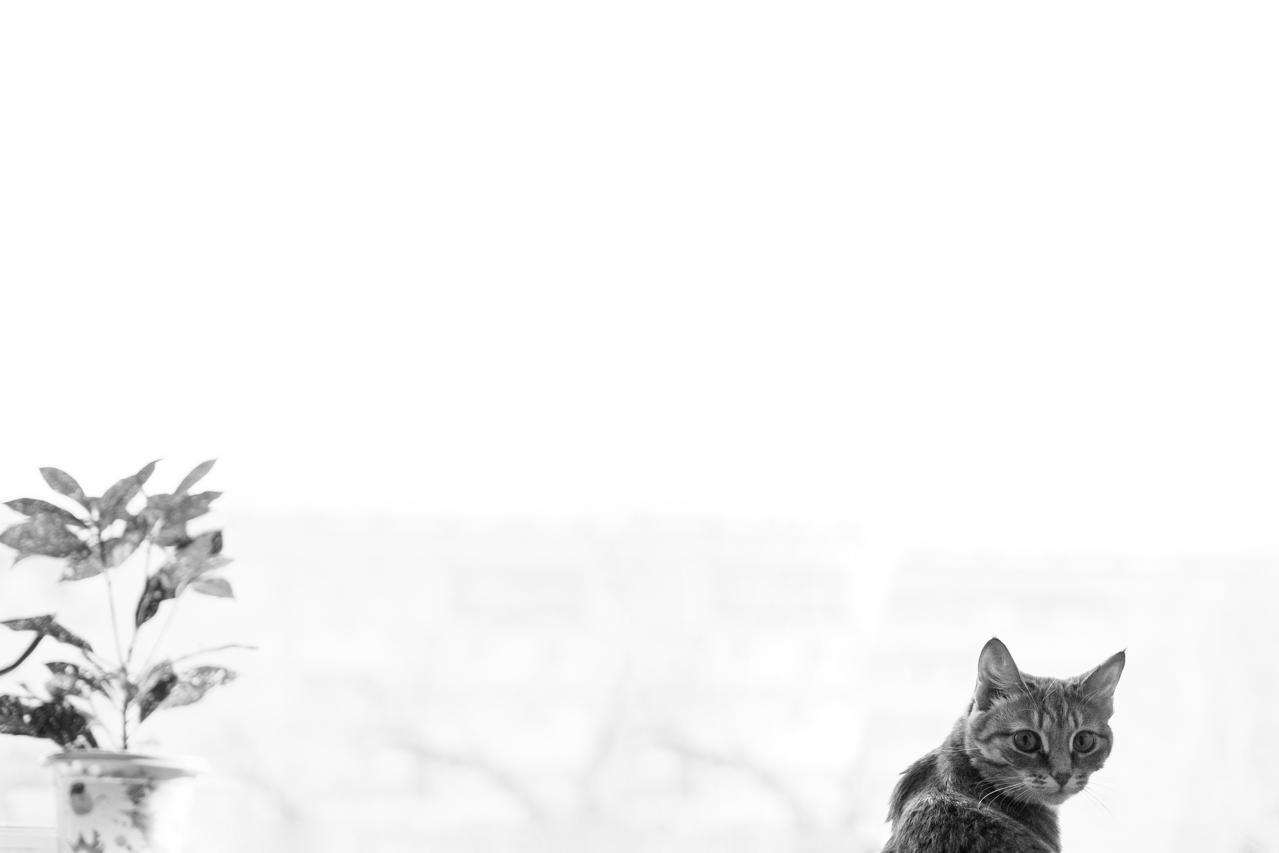 Домашний праздник. Фотограф Томск, Новосибирск Влад Свириденко