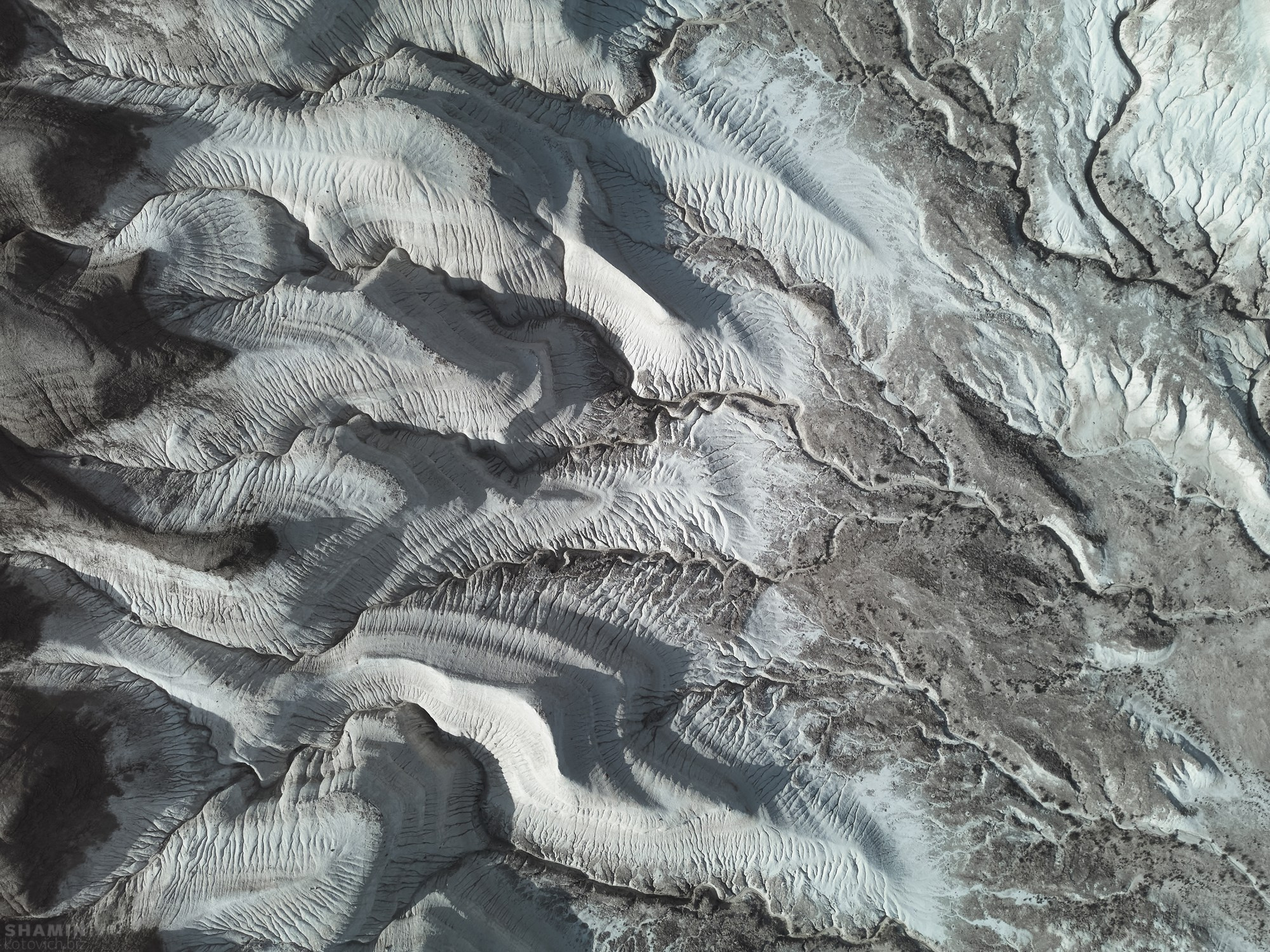 Проект 365. Фотограф Константин Шамин