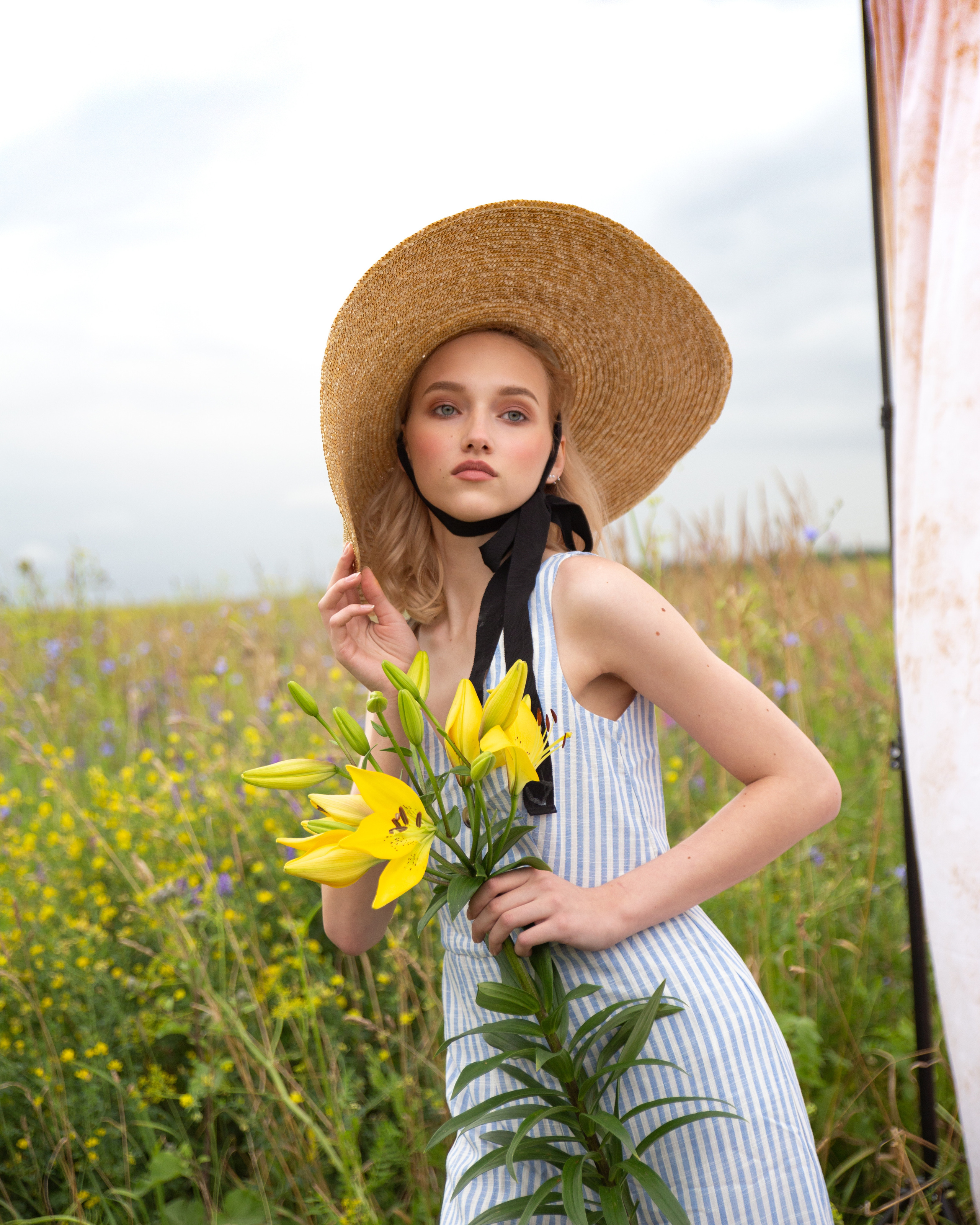 Девушки, гортензии, машина и собака. Анна Самохина. Фотограф. Москва