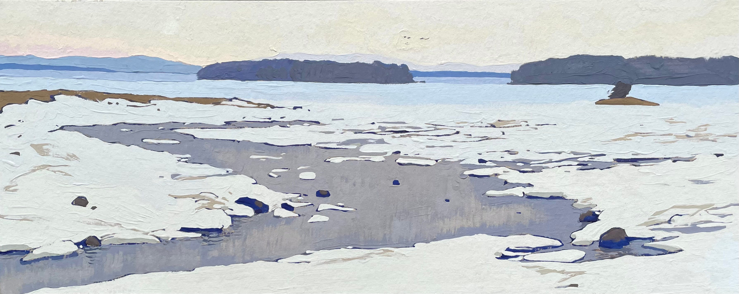 Художница Лиза Владимирова