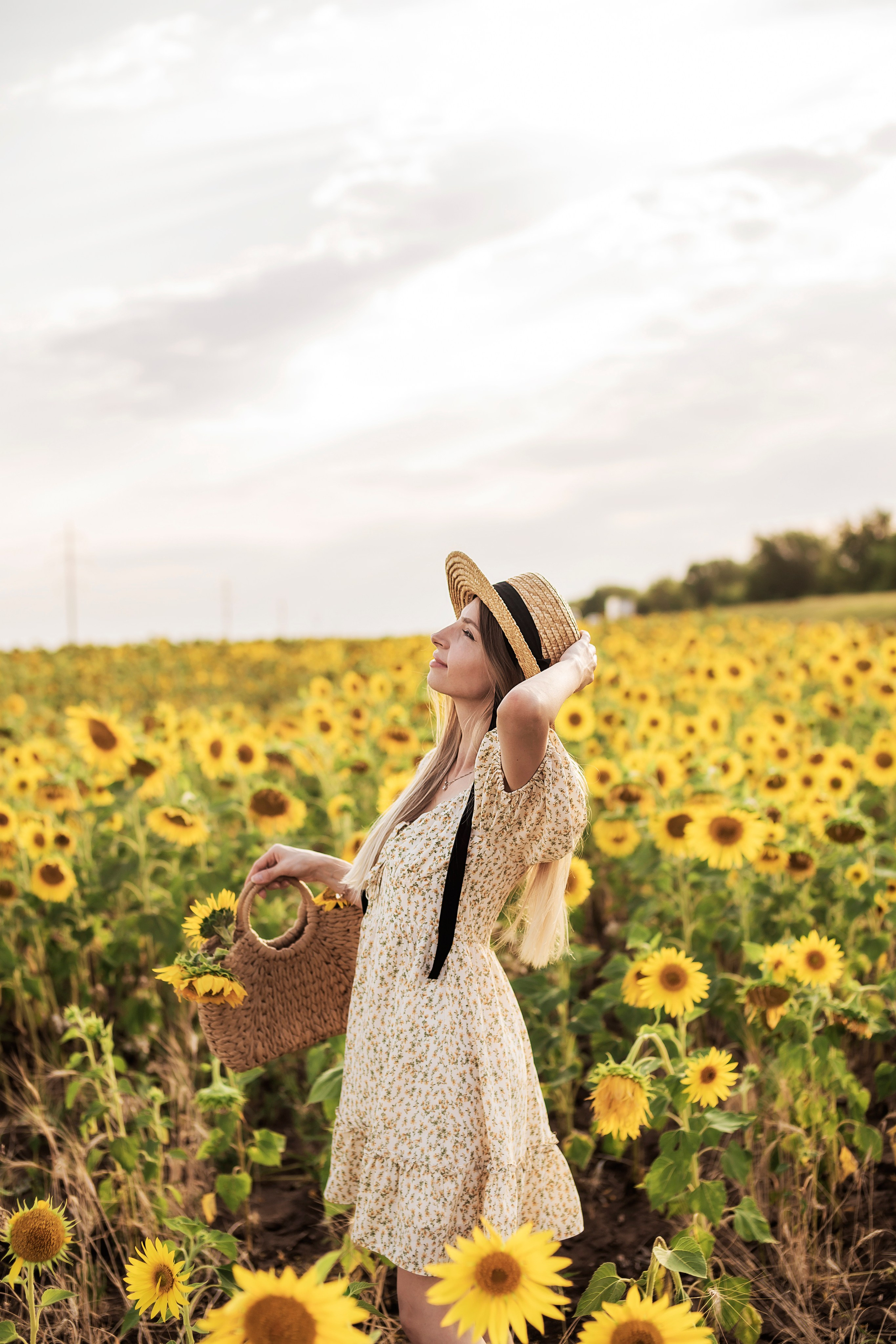 Фото в подсолнухах. Семейный фотограф в Саратове