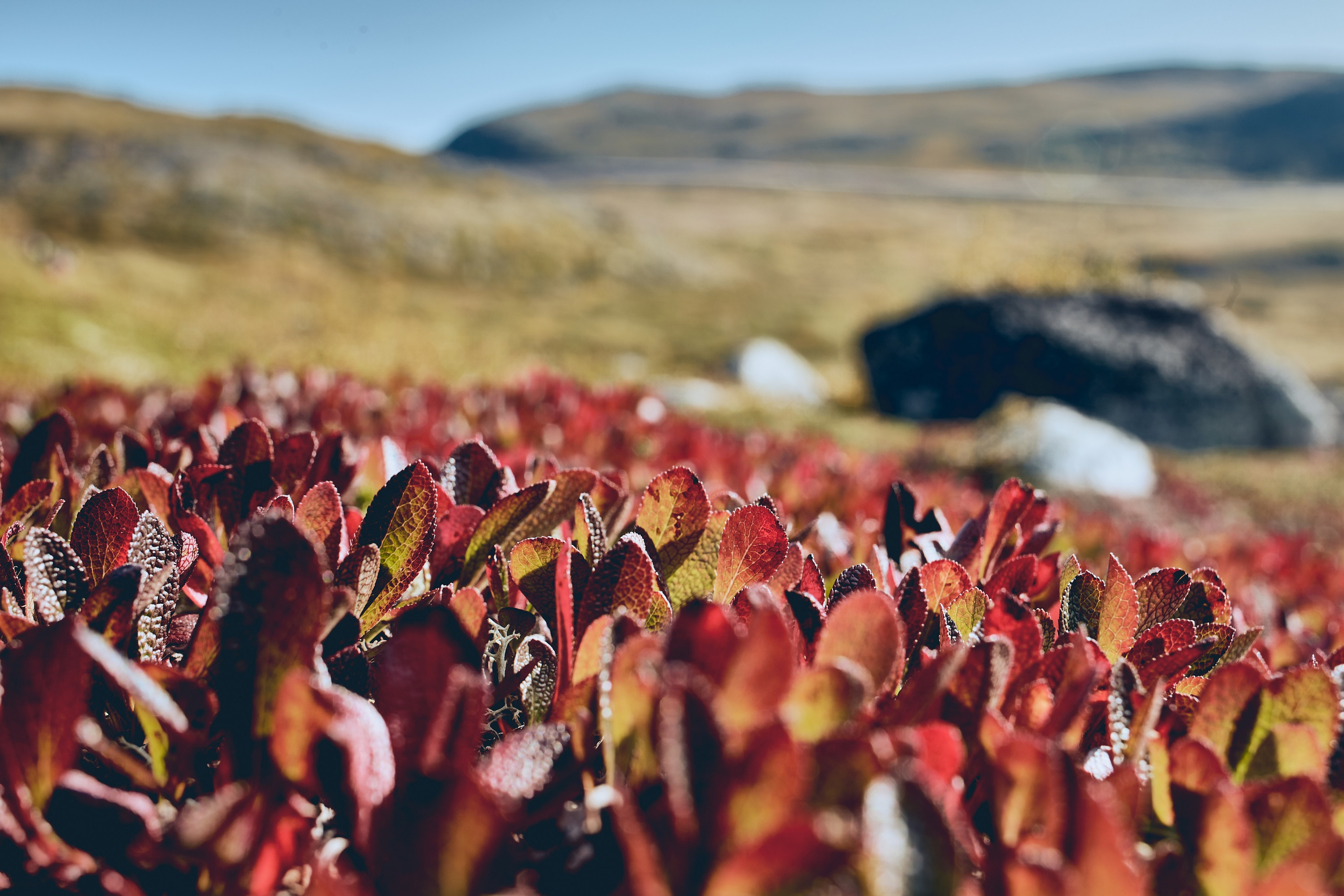 Путешествие на Край Земли. Юлия Иванова. Фотограф для лучших моментов