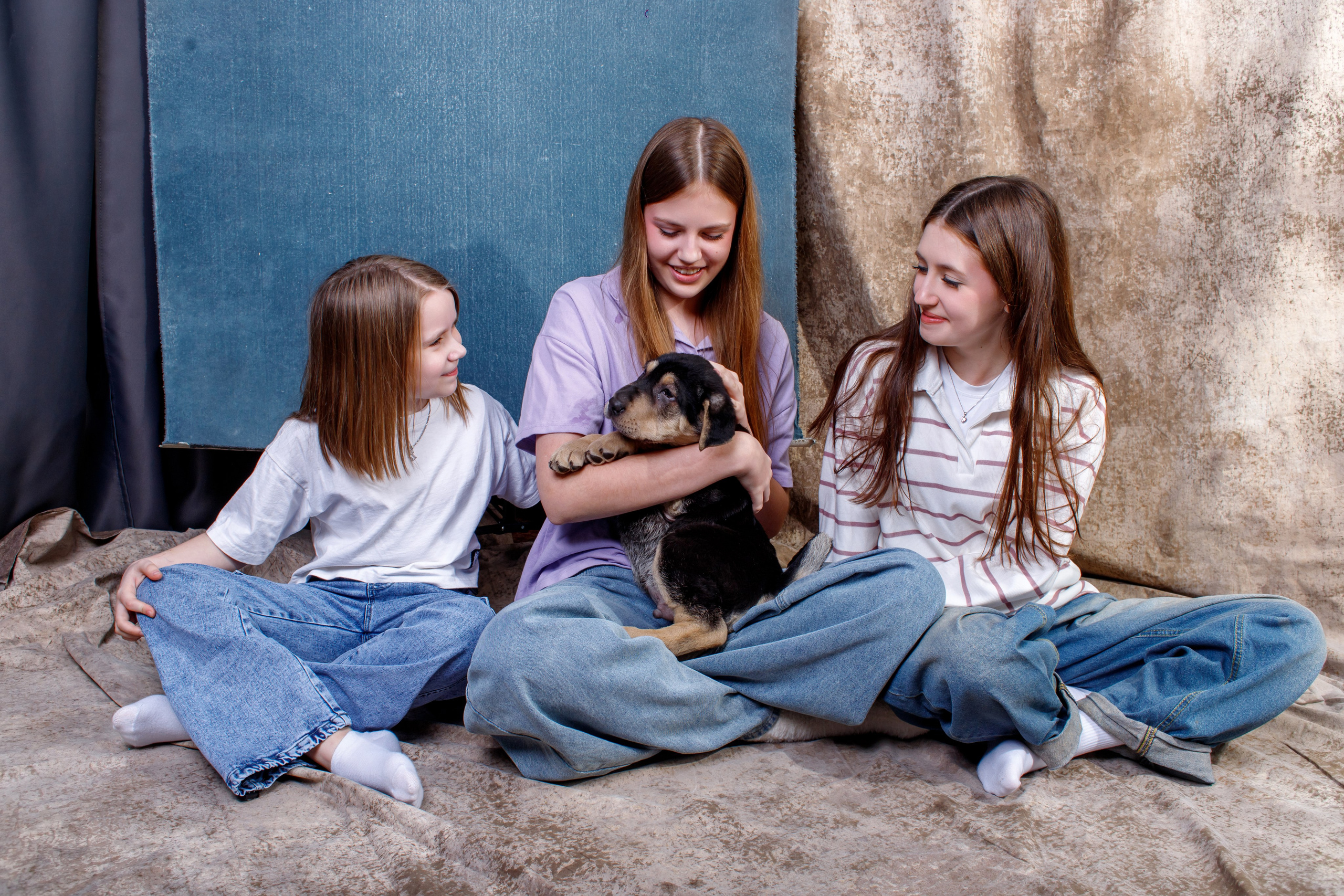 Пропаганда - подростки помогают бездомным собакам.