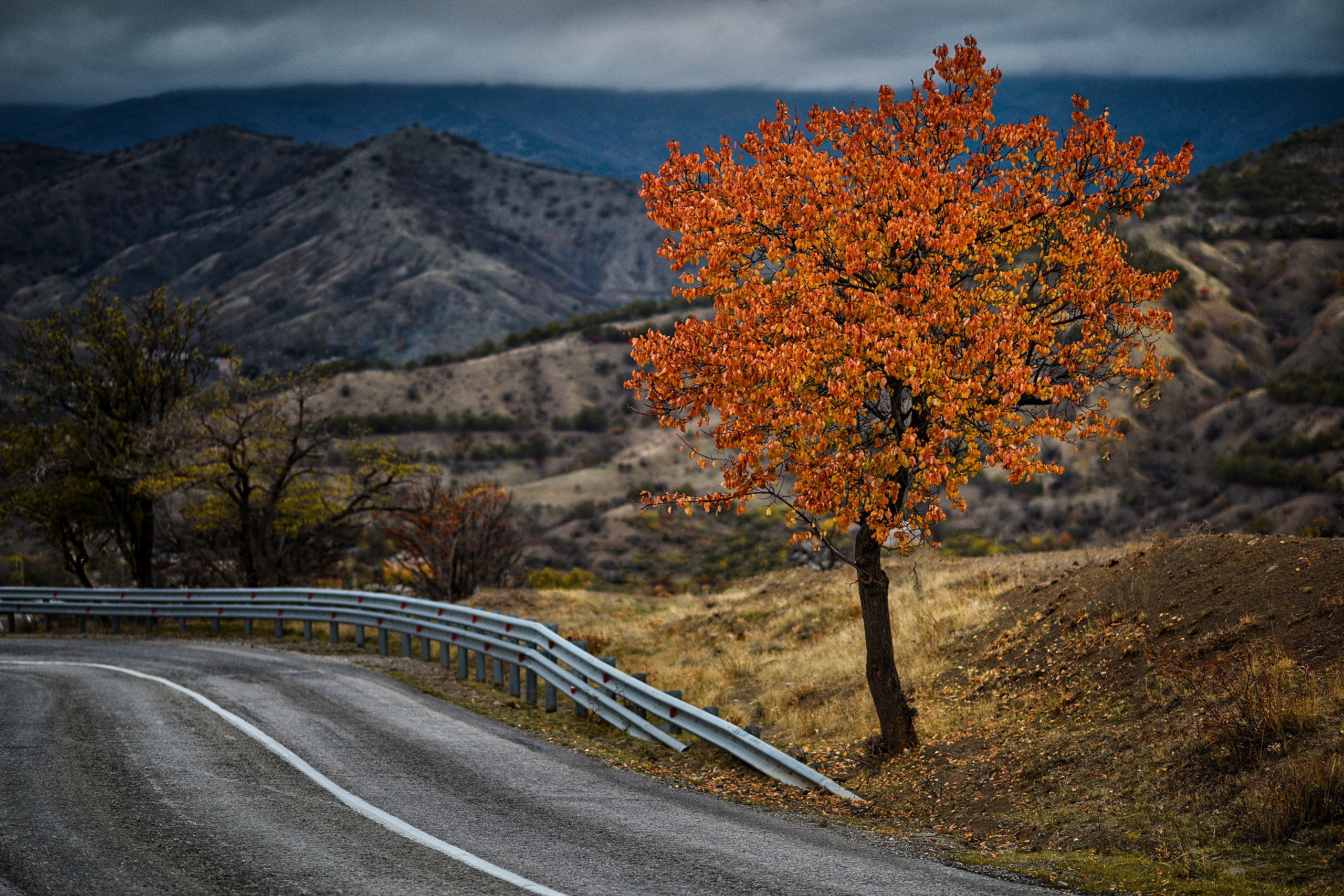 Пейзажи. Яркие фото на Чёрном море