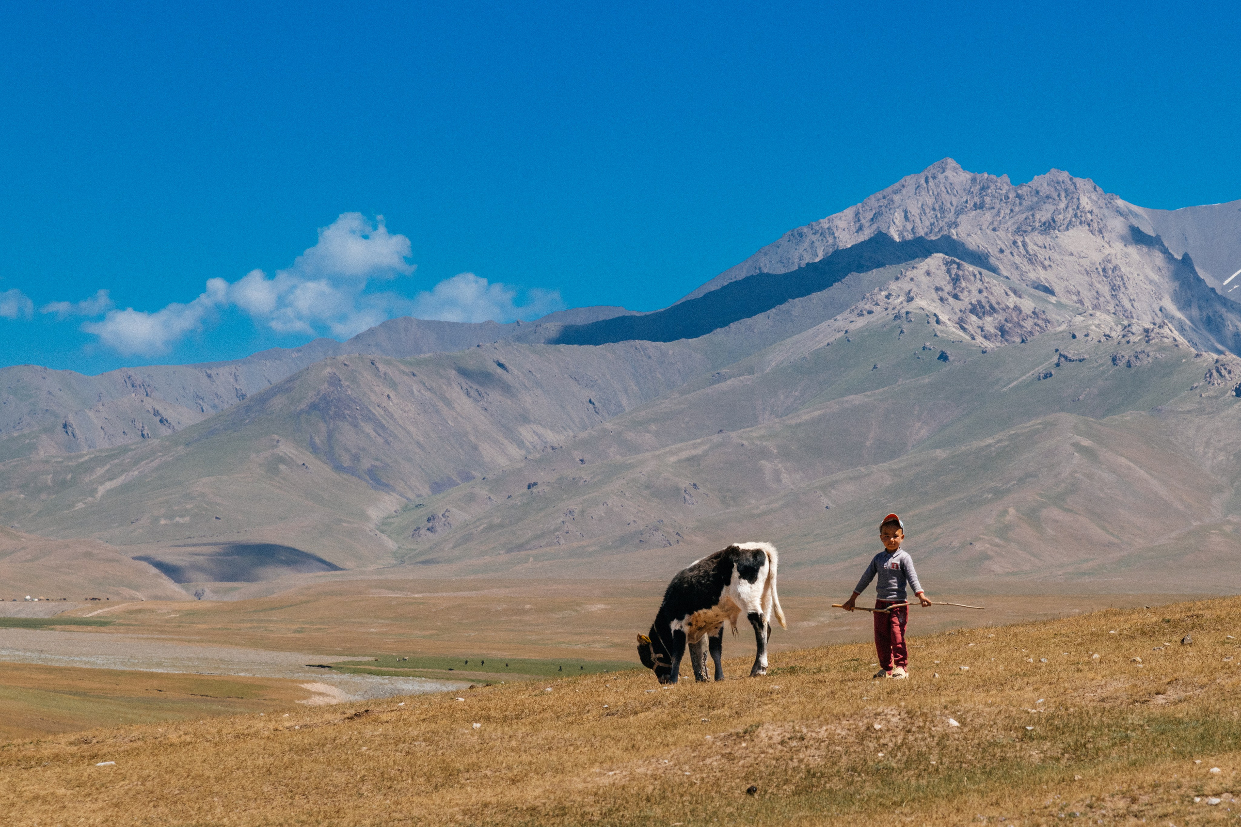 Средняя Азия подборка. Роман Свободный — интерьерная и архитектурная съёмка, Москва и МО
