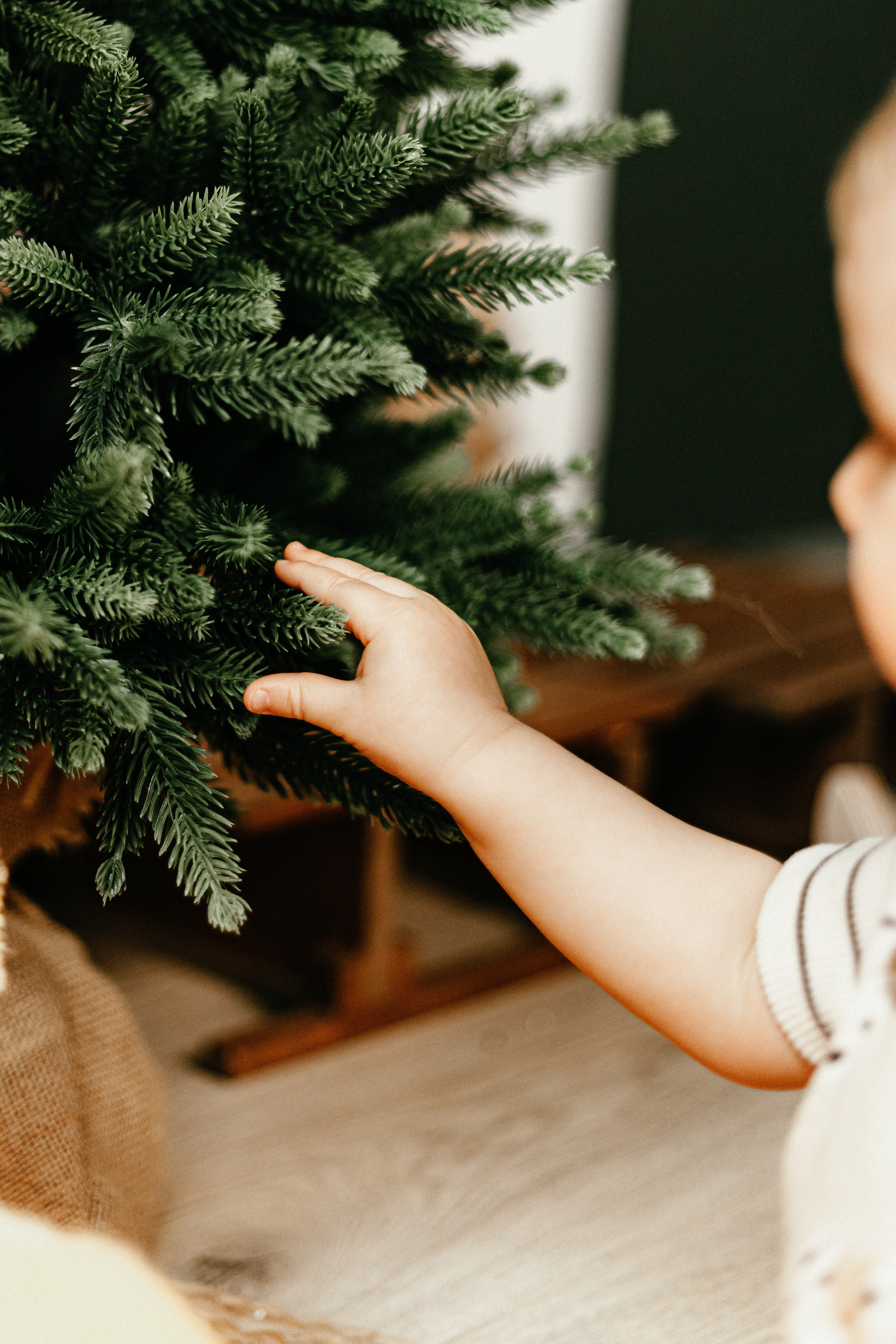Новогодние. Арт-фотограф Крис Л. в Тобольске: портрет, семейные, свадьбы