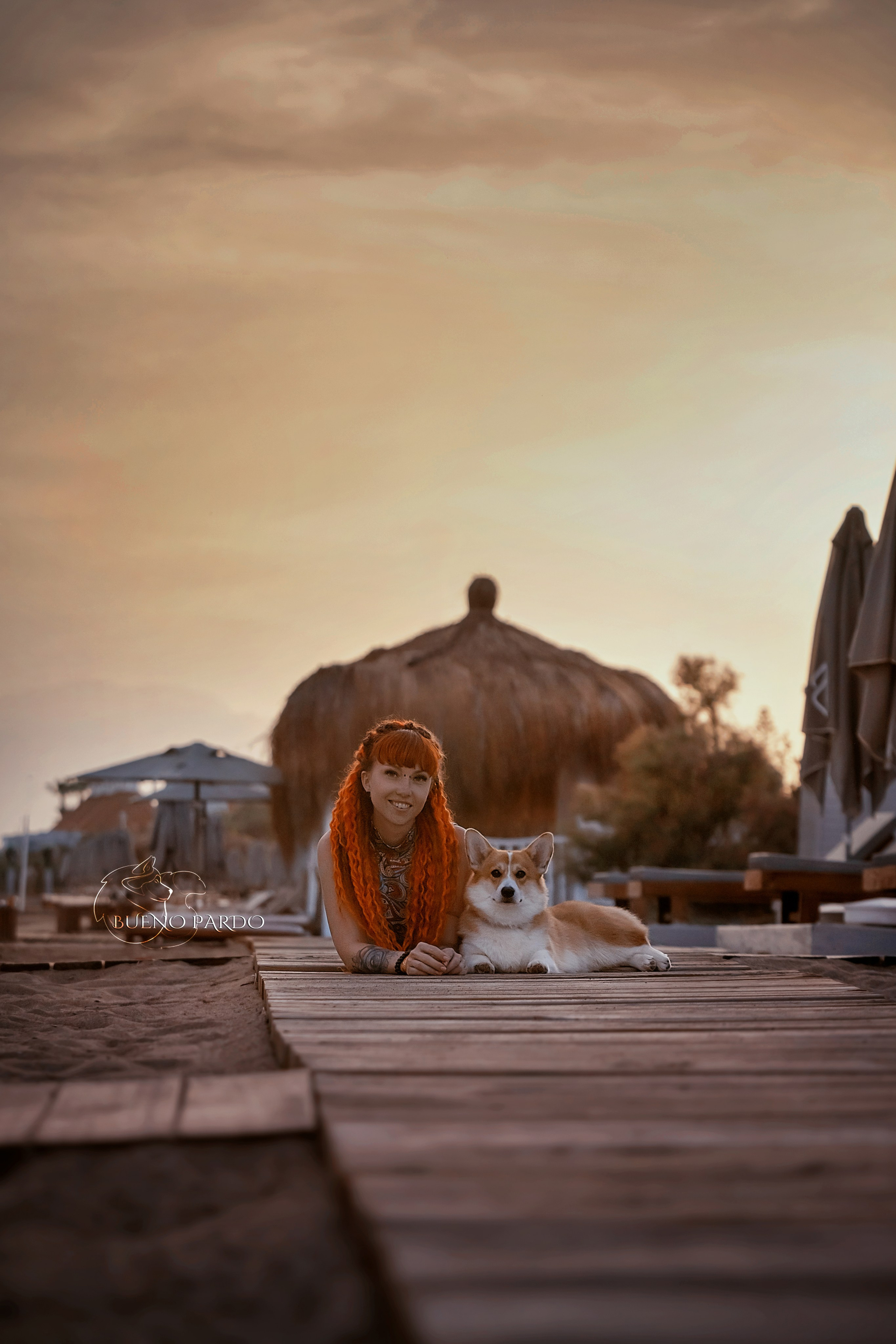 Собаки питомника Bueno Pardo. Питомник собак Акита, Хаски, Корги