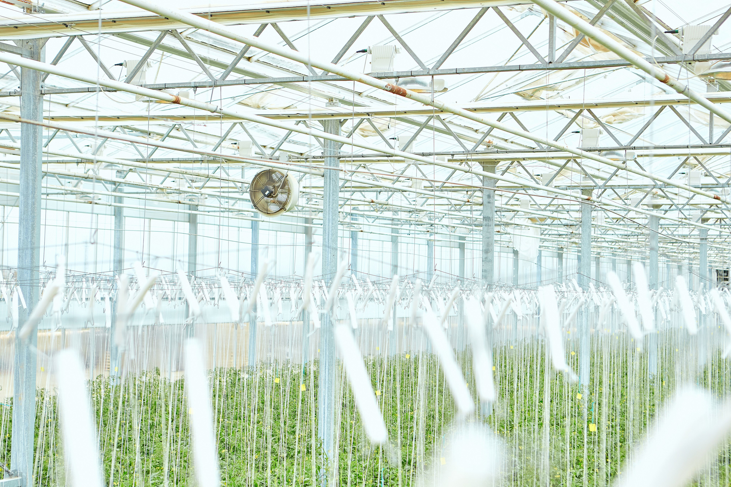 Эко-Культура