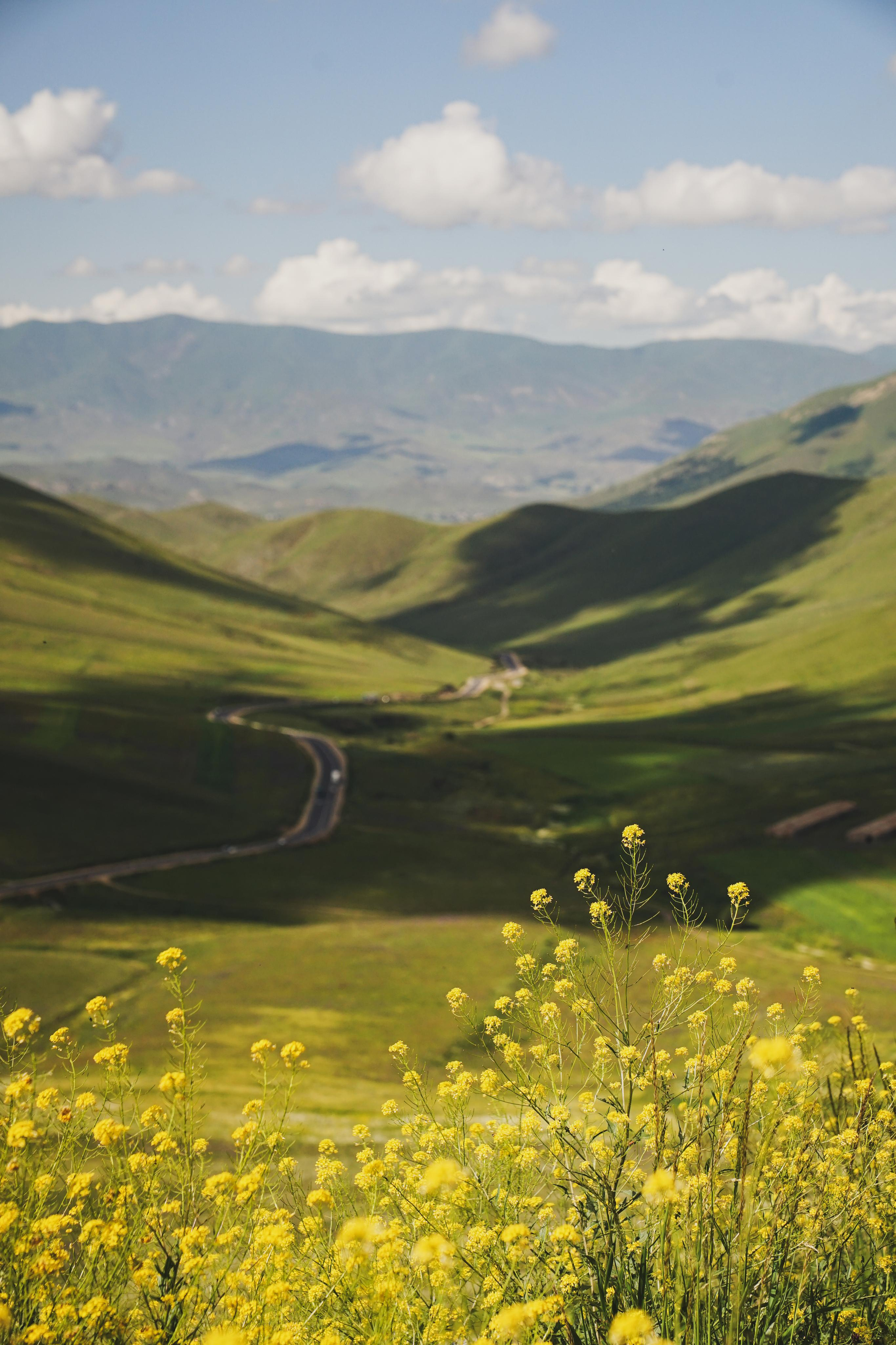 Armenia. Photograph and videograph in Israel