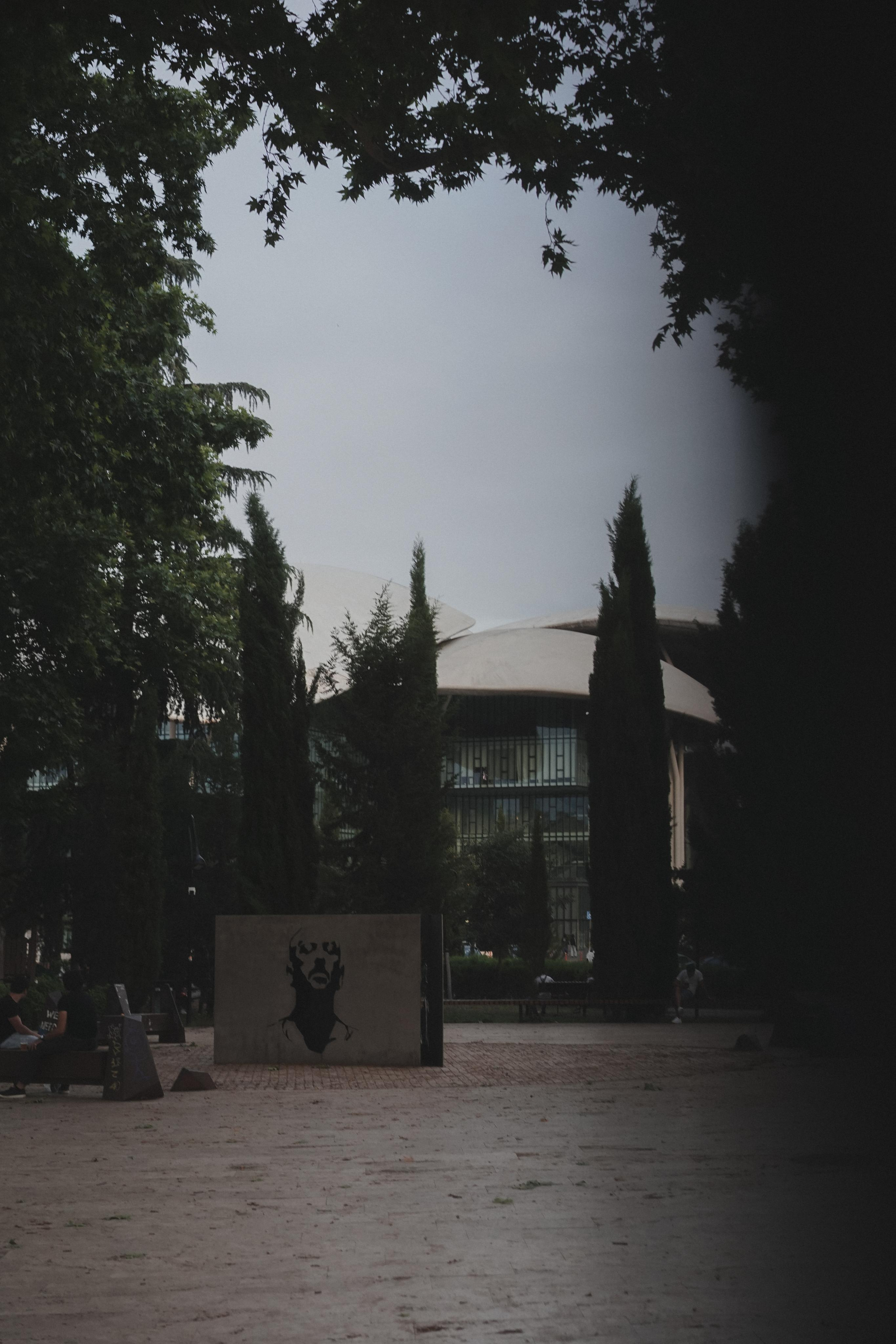 Georgia. Photograph and videograph in Israel