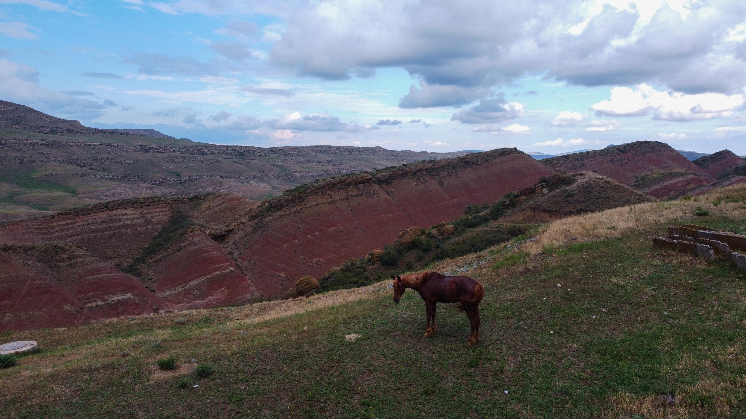 Georgia. Photograph and videograph in Israel