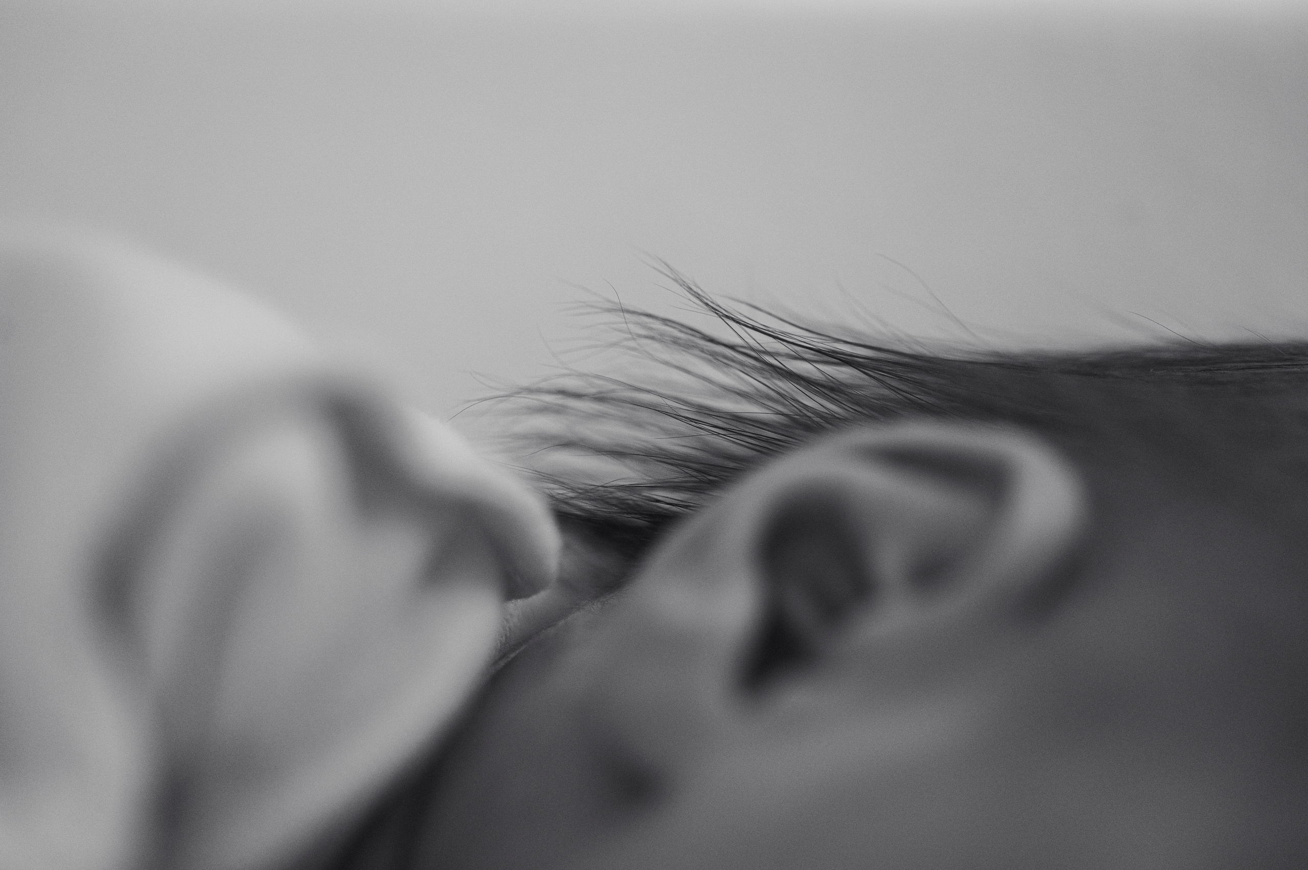 Подарочные Сертификаты. Фотограф на роды СПБ Юлия Герасимова