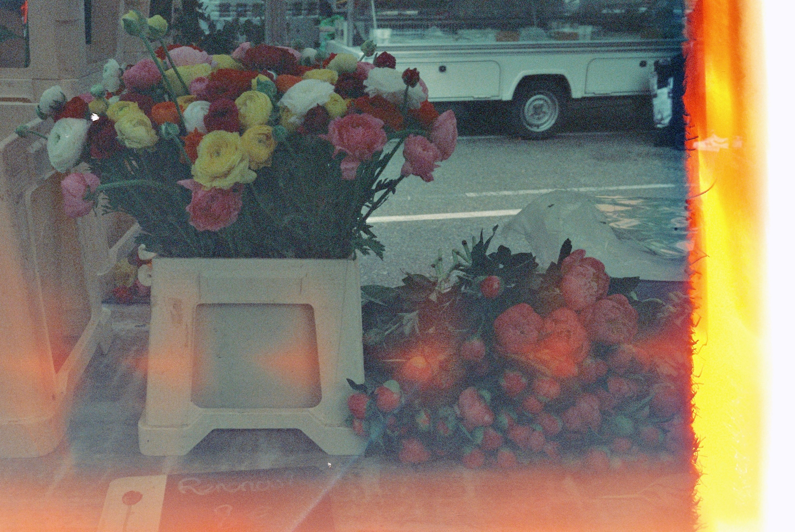 Мои путешествия. Rose Korenevskaya|Ваш нежный фотограф