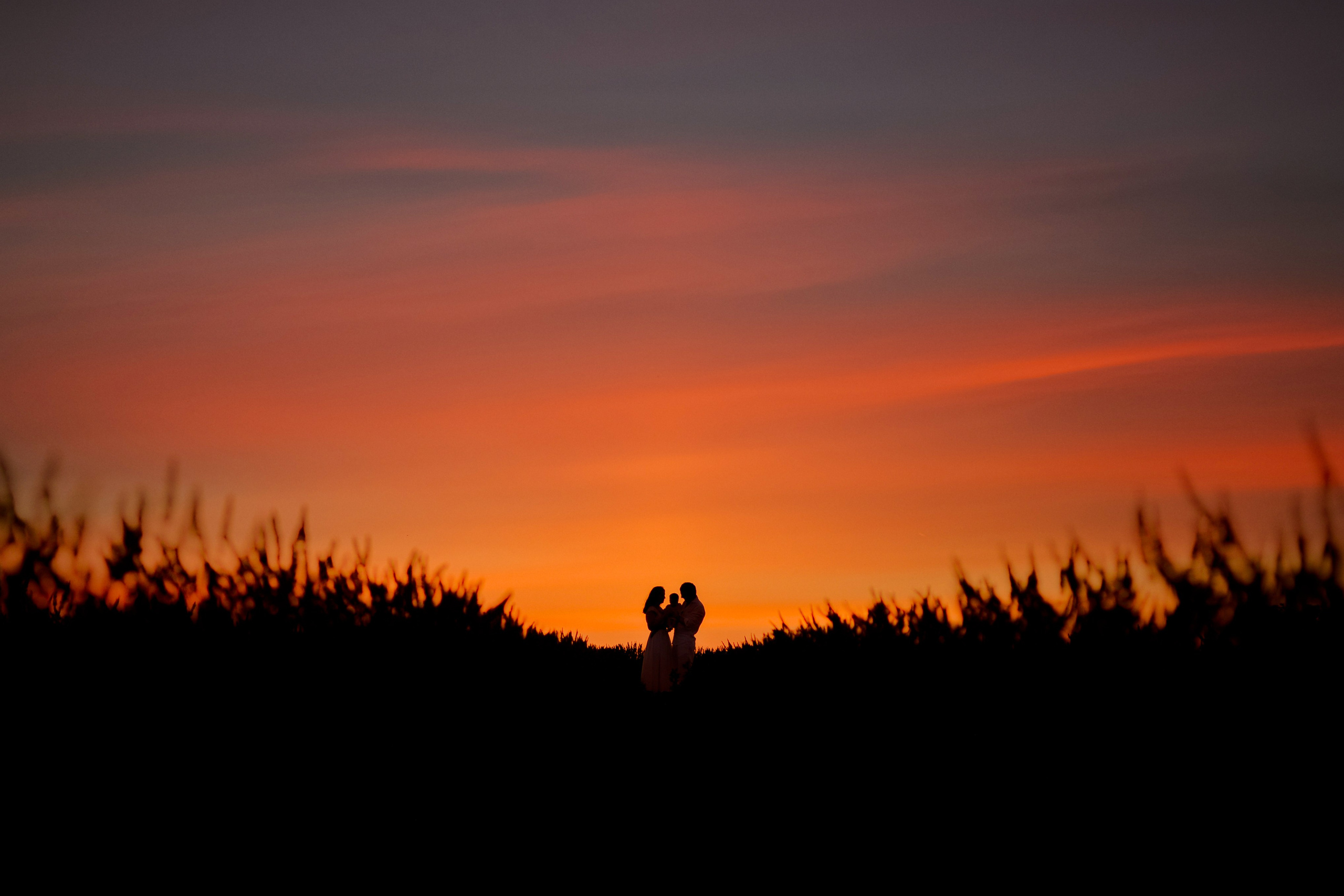 Séances photo dans les champs de lavande 2026. Photographer in Provence Julia Lipiainen
