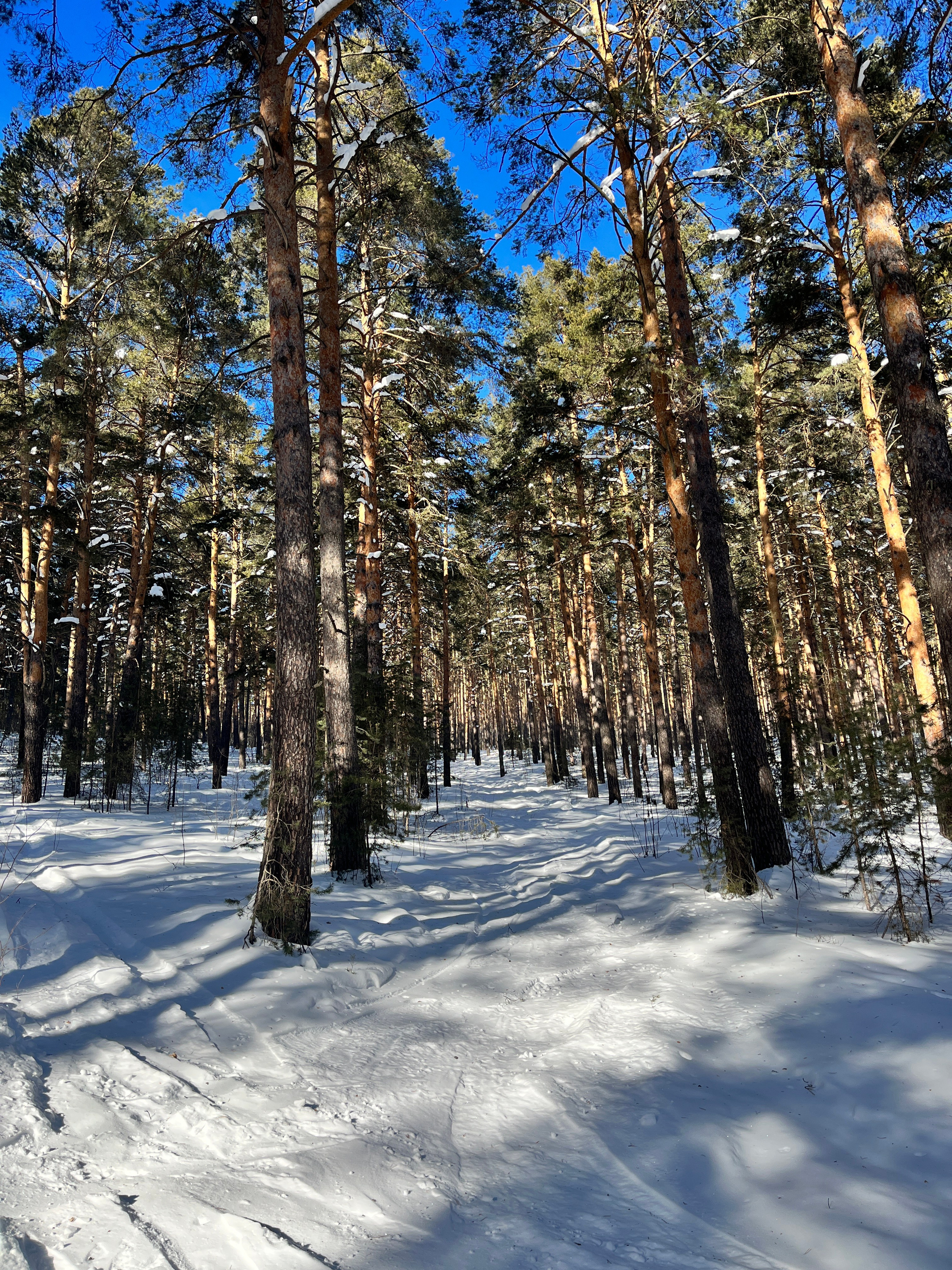 Горнолыжный тур в ГЛЦ Мраткино из Уфы — Время Приключений