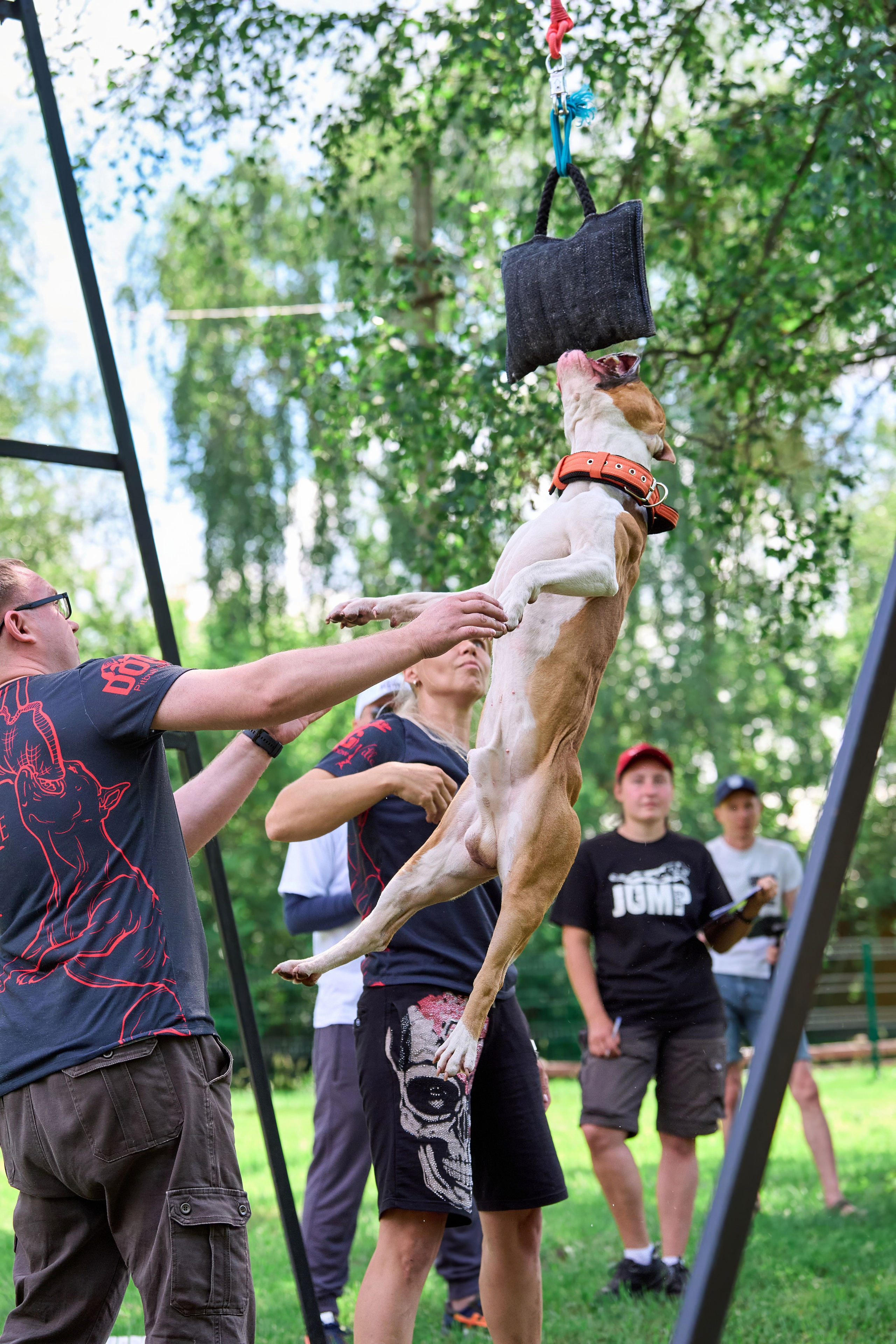 Двухдневные соревнования «Jump'n'Gym Fest — 2024». Фотограф-анималист Михаил Манухин