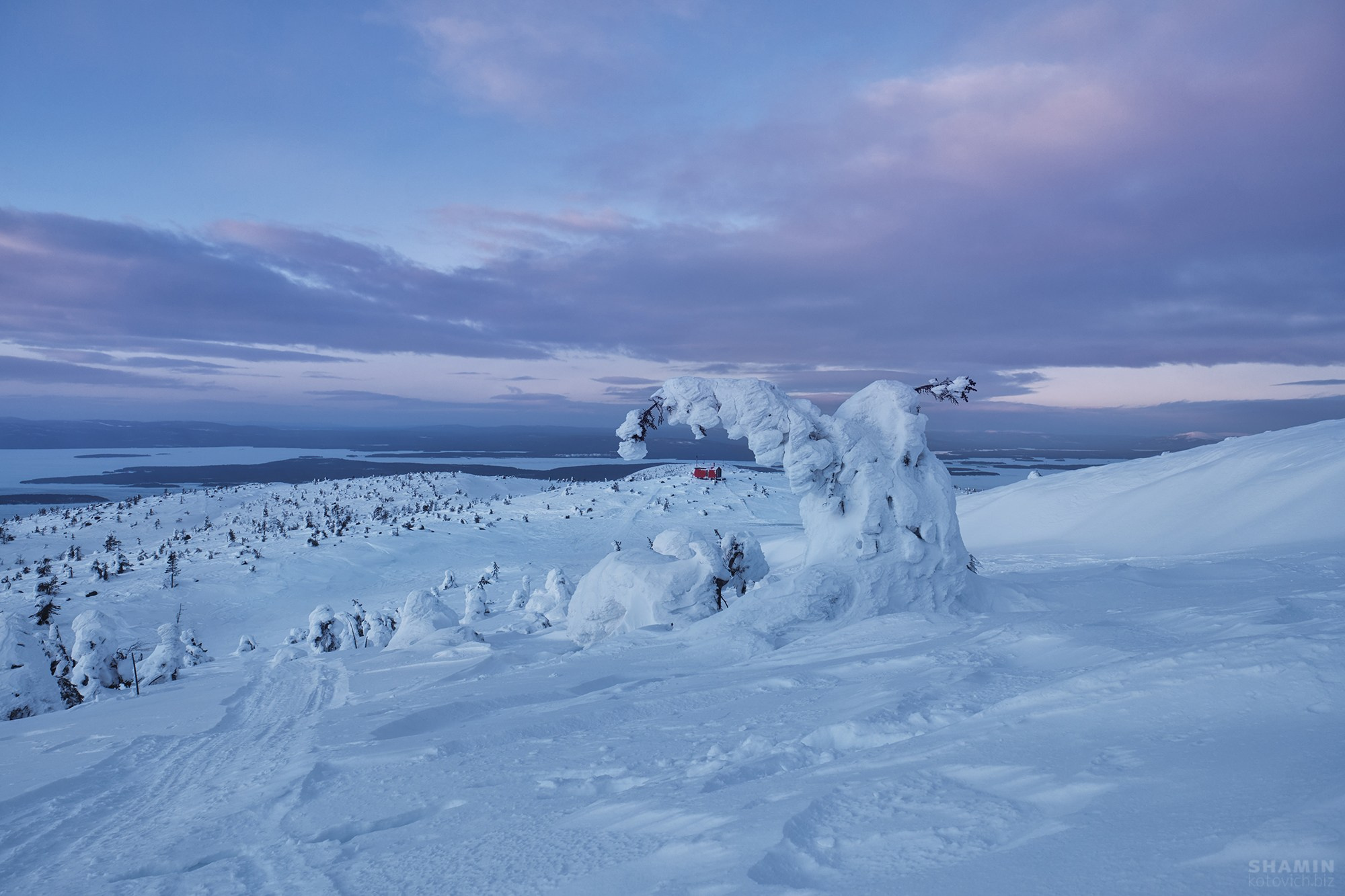 Пейзажи Кольского полуострова — северное сияние, тундра, Баренцево море и горы Хибины. Фотографии дикой природы и северного света на Кольском полуострове. Фотограф Константин Шамин