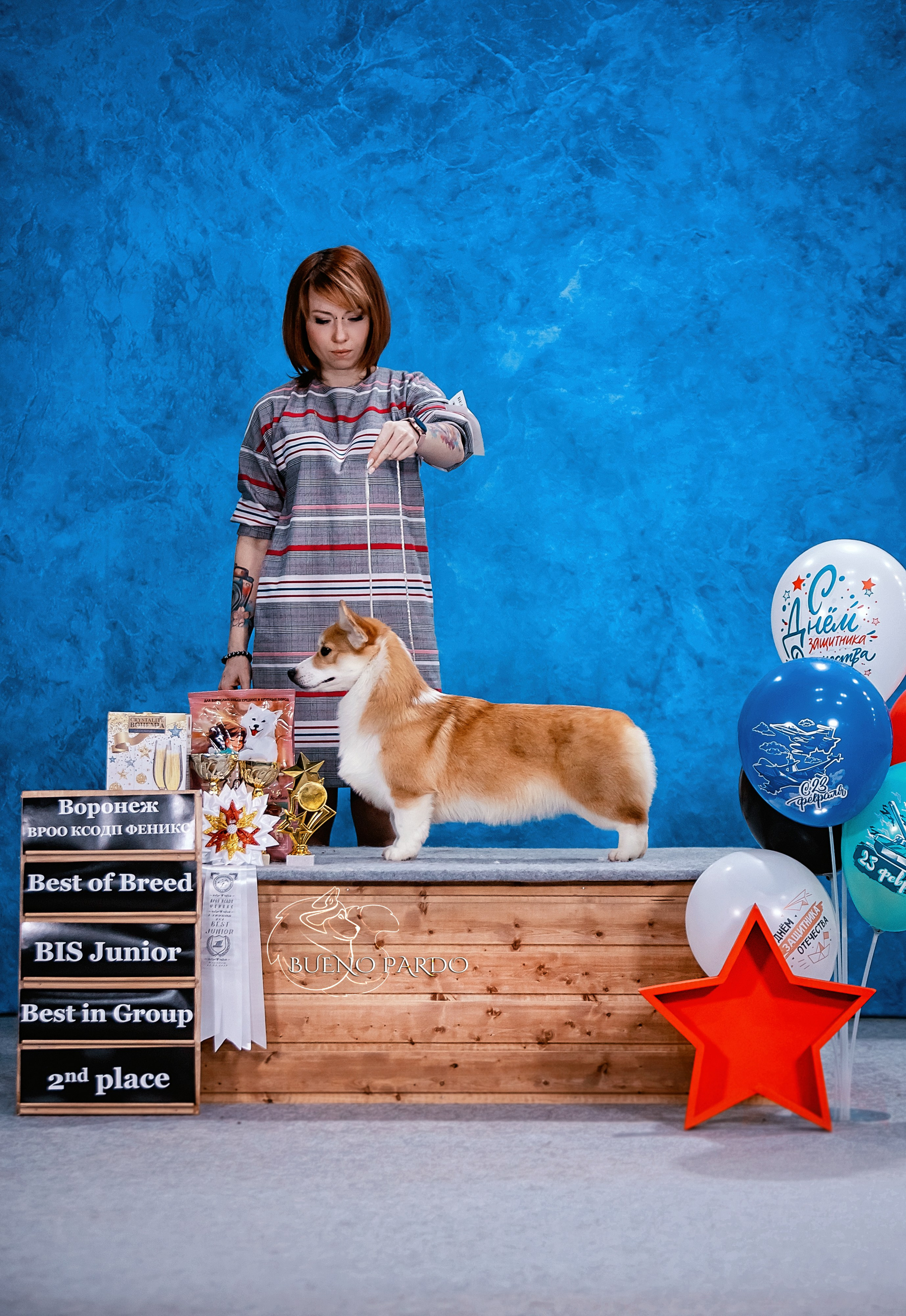 Собаки питомника Bueno Pardo. Питомник собак Акита, Хаски, Корги