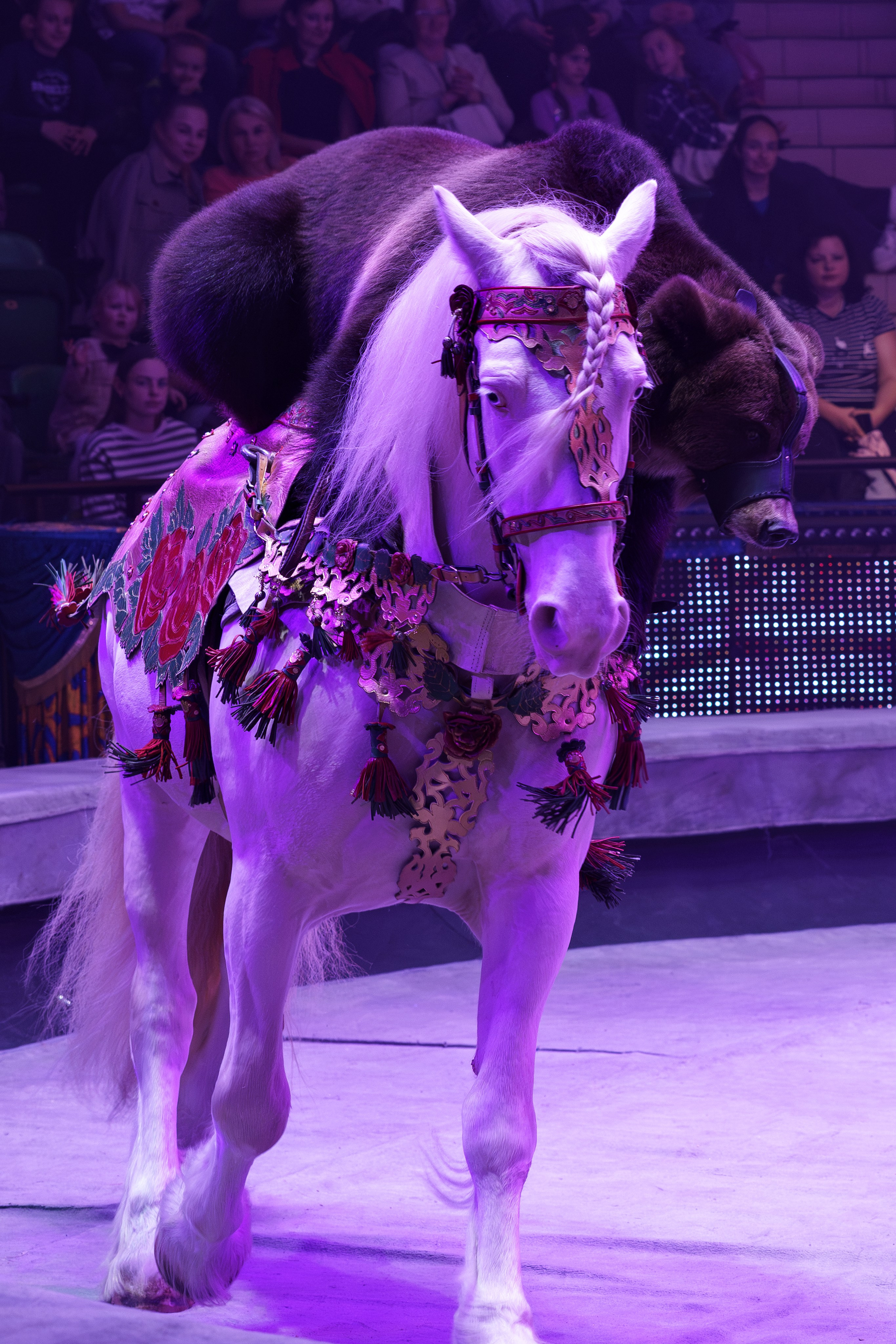 «Королевский цирк Гии Эрадзе»