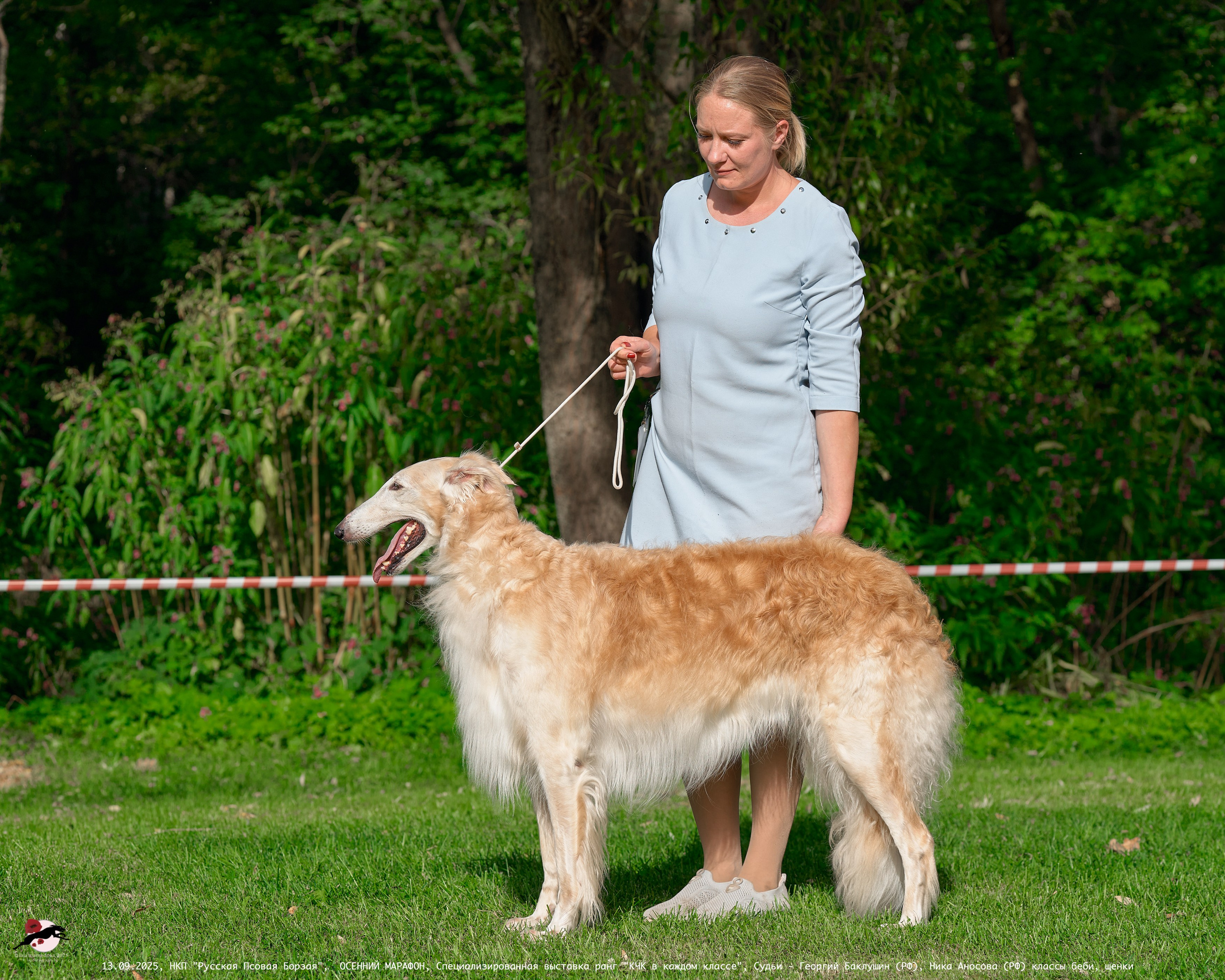 ОСЕННИЙ МАРАФОН | Специализированная выставка породы Русская Псовая Борзая ранг "КЧК в каждом классе"