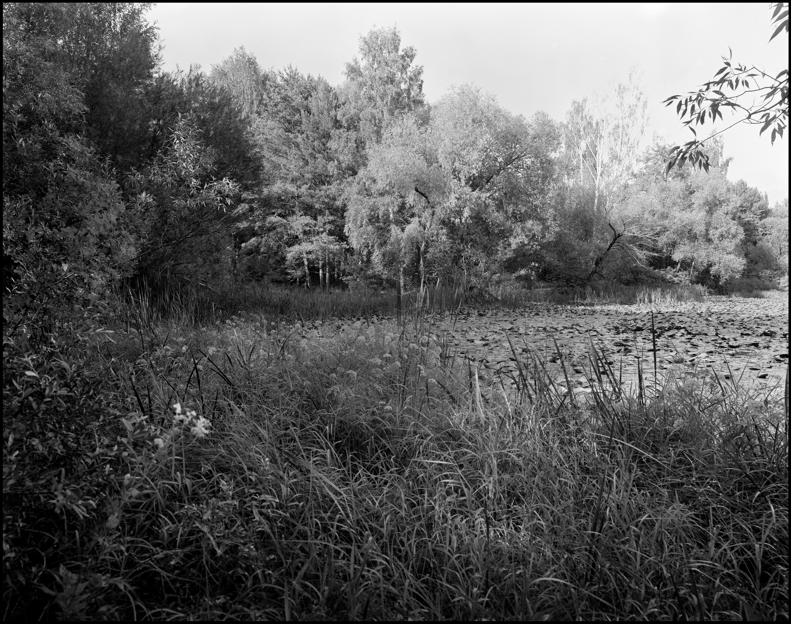 Landscape. Sergey Kondriuk art-photographer | artist