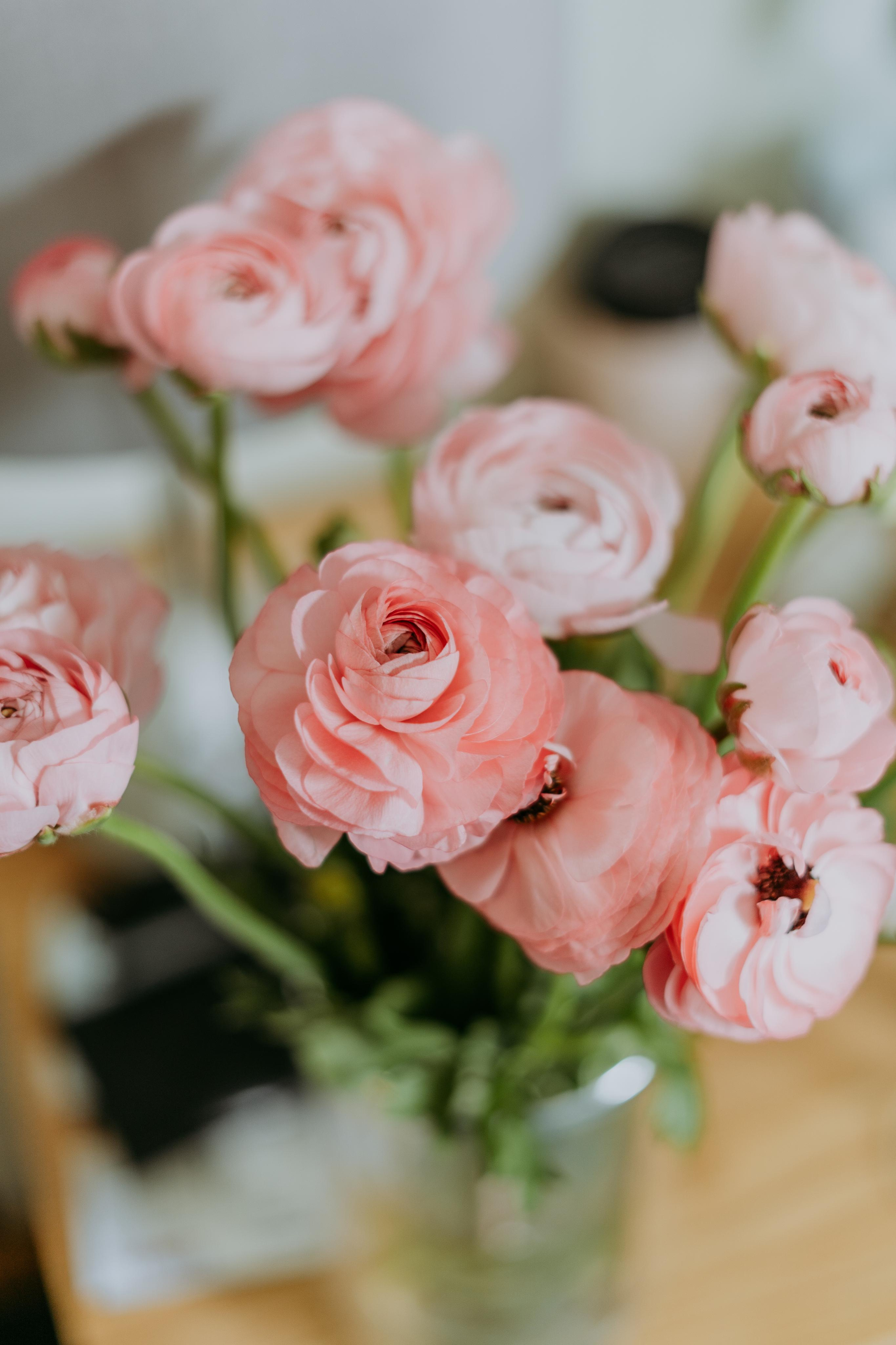 Катя и Маша в Красной Поляне. Фотограф в Сочи и Абхазии | Фототуры | September Air