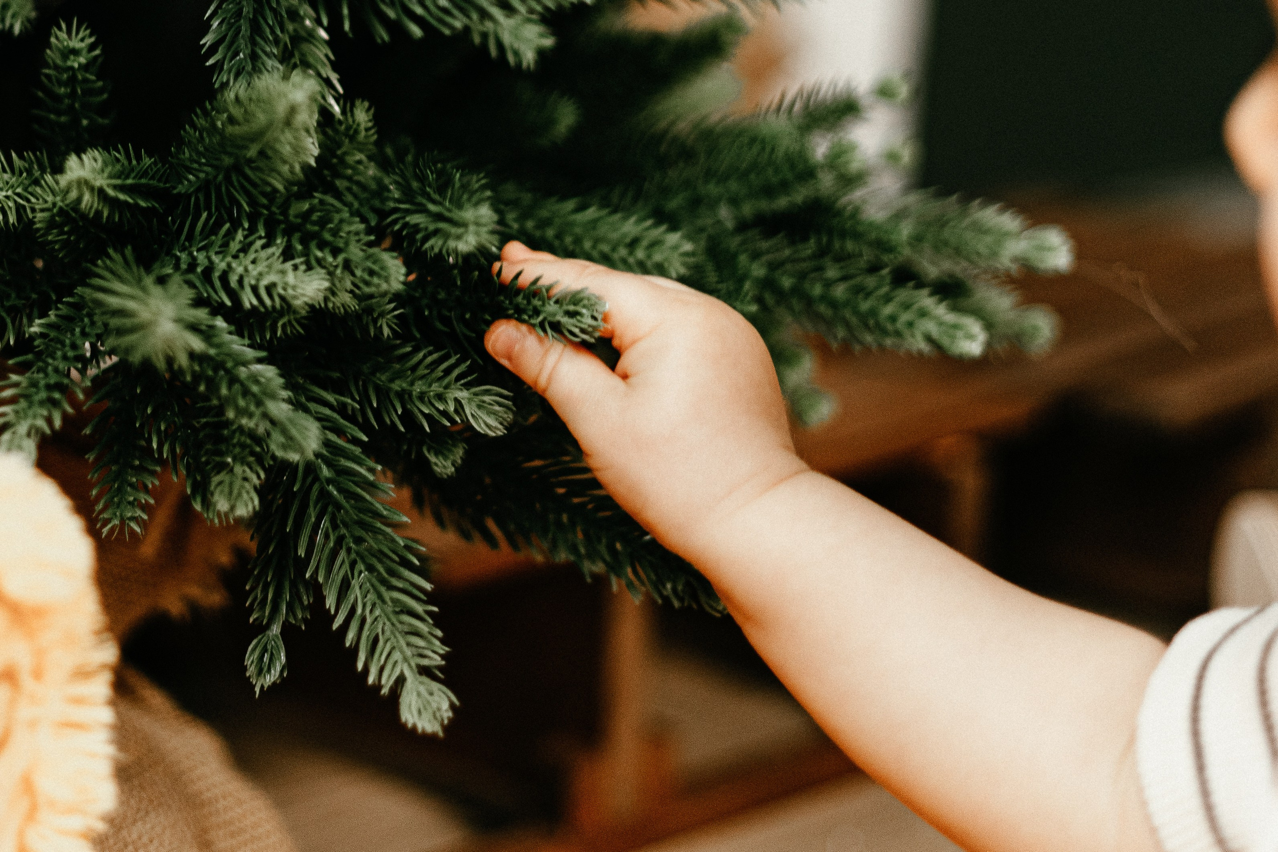 Новогодние. Арт-фотограф Крис Л. в Тобольске: портрет, семейные, свадьбы
