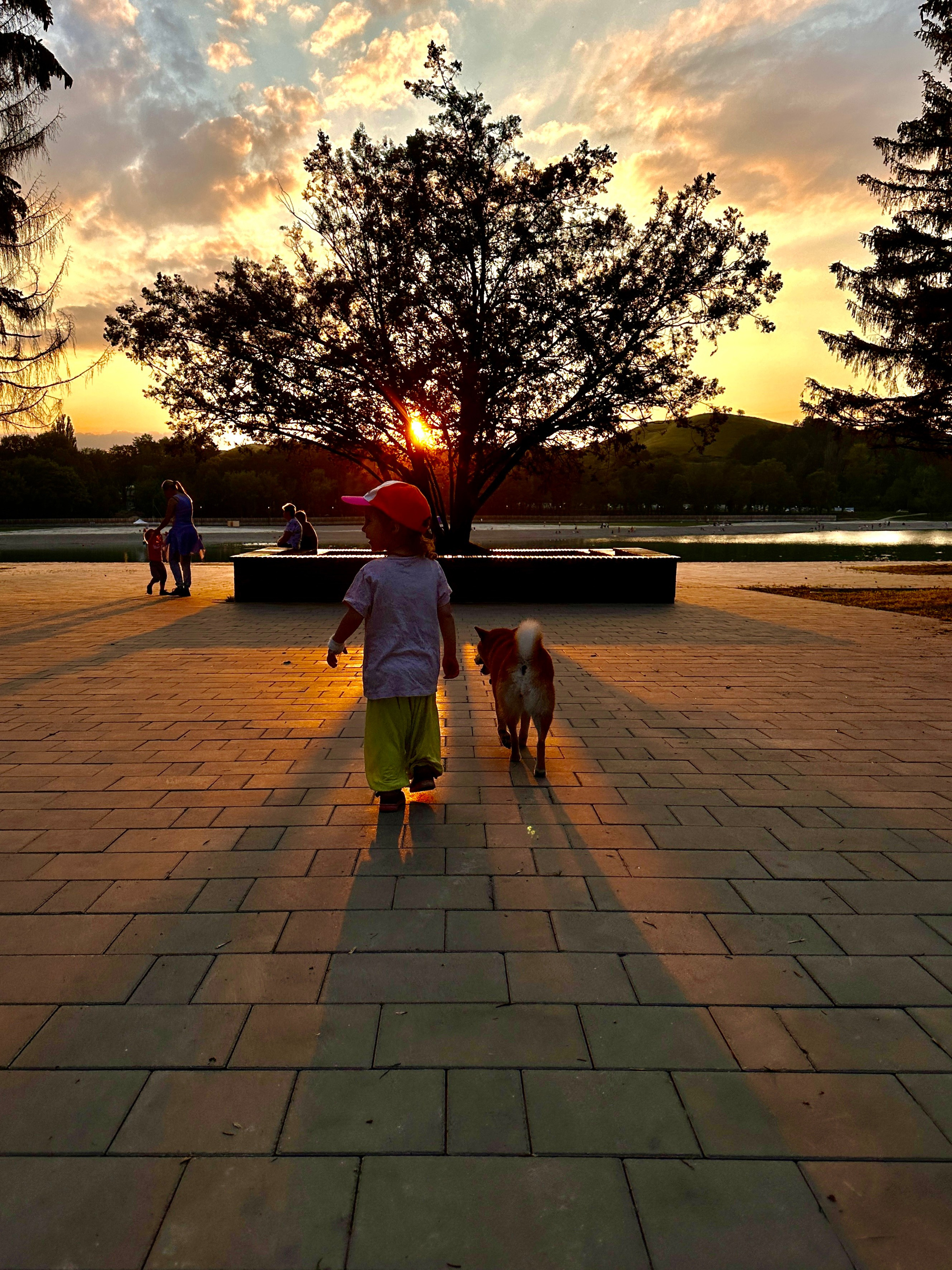 Кисловодск. Смотри, красота!