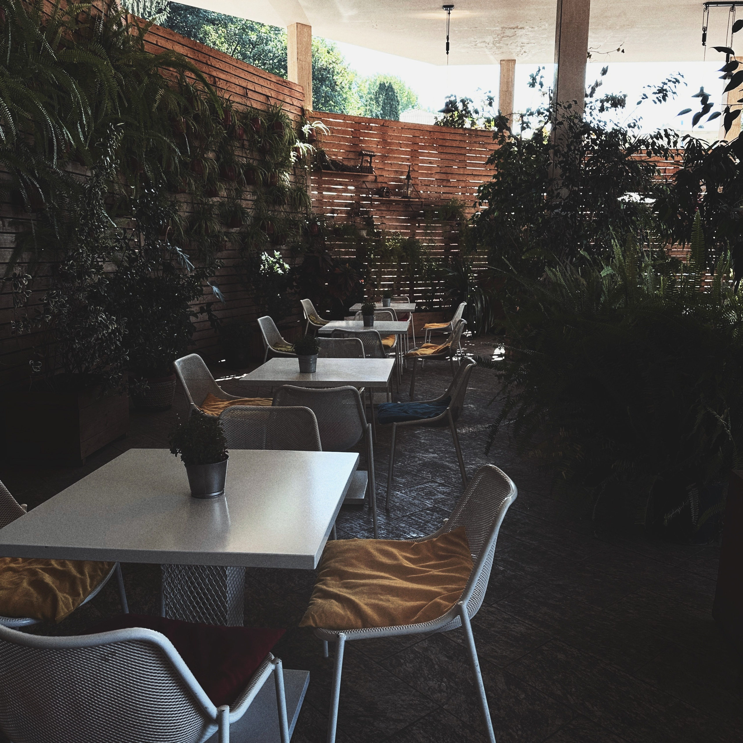 Кисловодск. Смотри, красота!