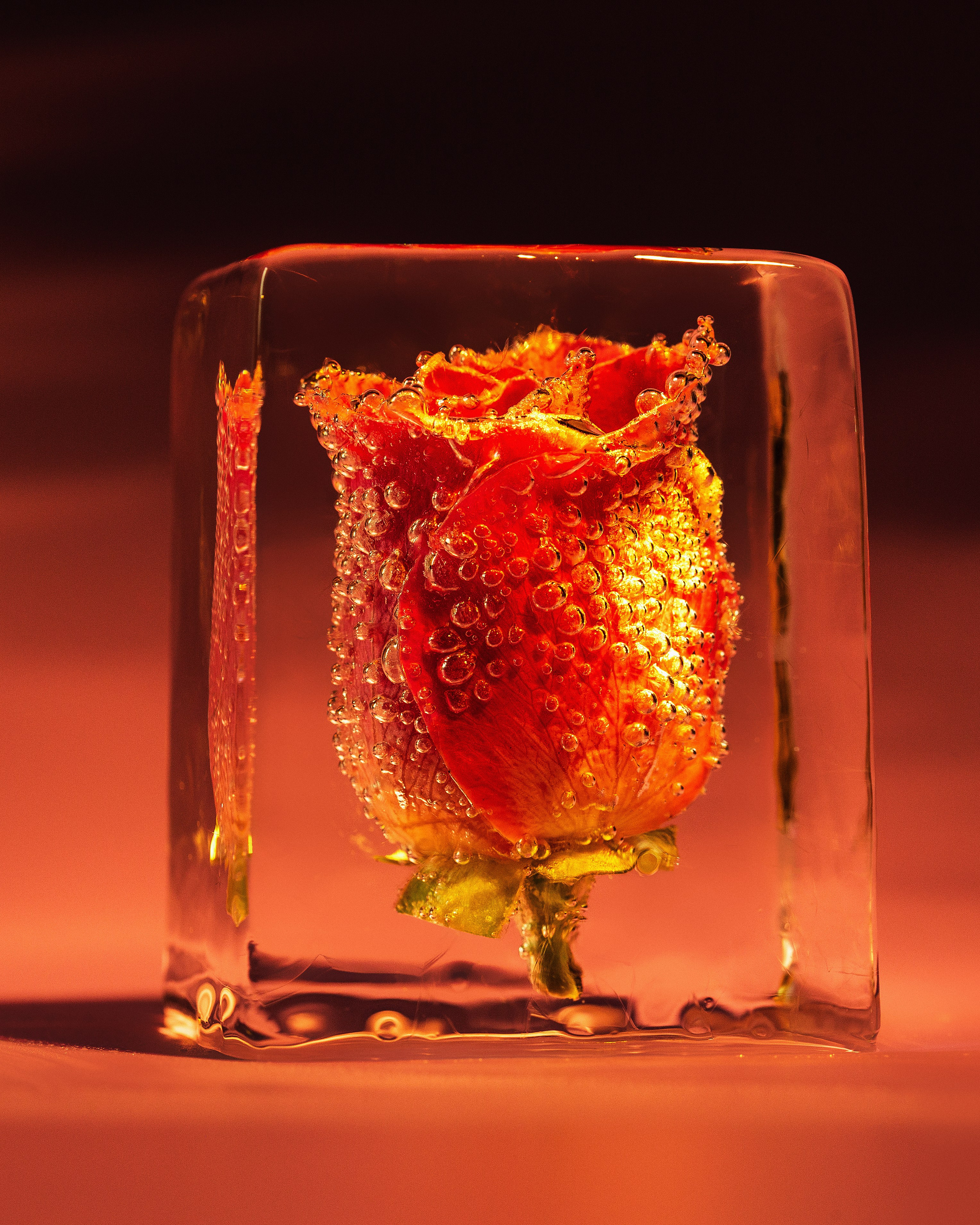 Фотосъемка льда для коктейлей в Смоленске. Фотограф | Михаил Буш Смоленск