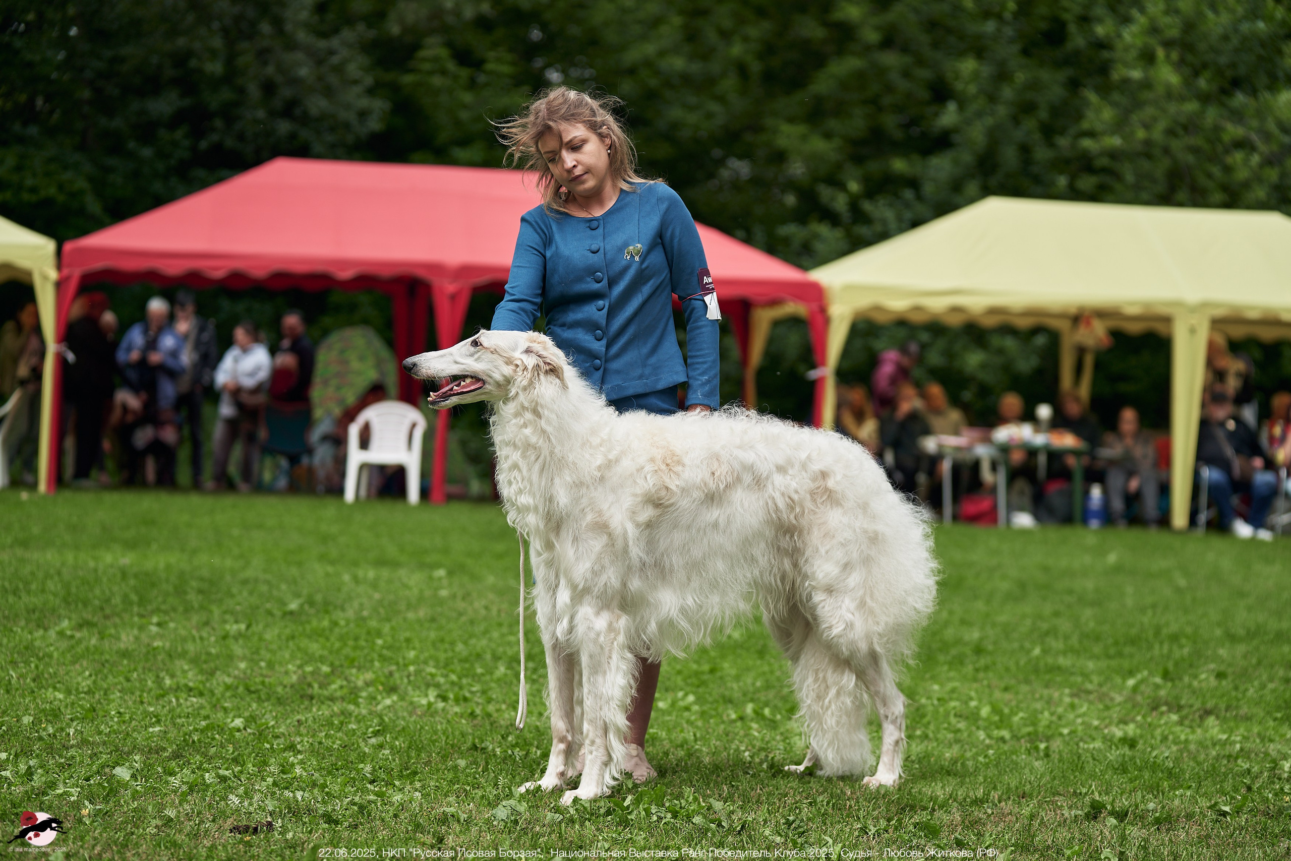 22.06.2025 | Национальная Выставка НКП "Русская Псовая Борзая"