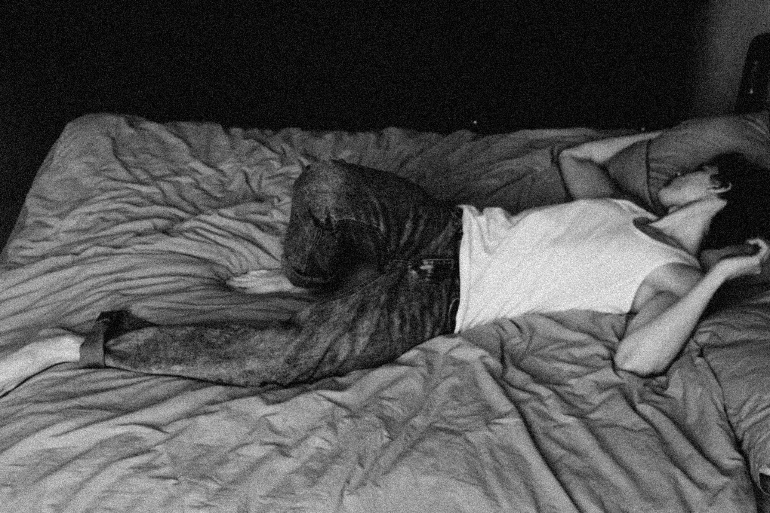 О задаче профессионального фотографа. Professional photoartist in St. Petersburg (wedding, reportage, portrait, model book, love story) Alexander Shvedov