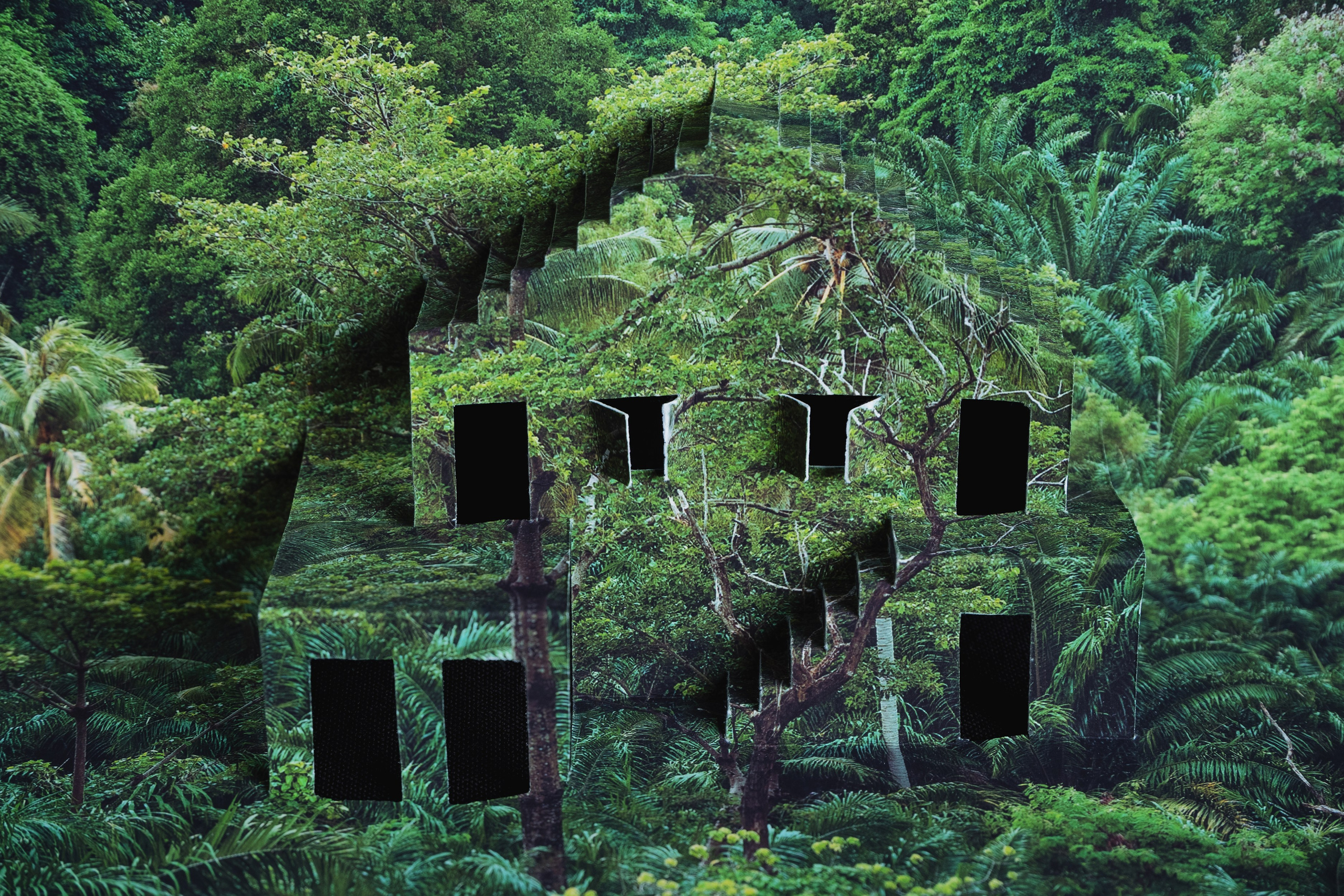 Chronicles of transformation. Irina Borodina