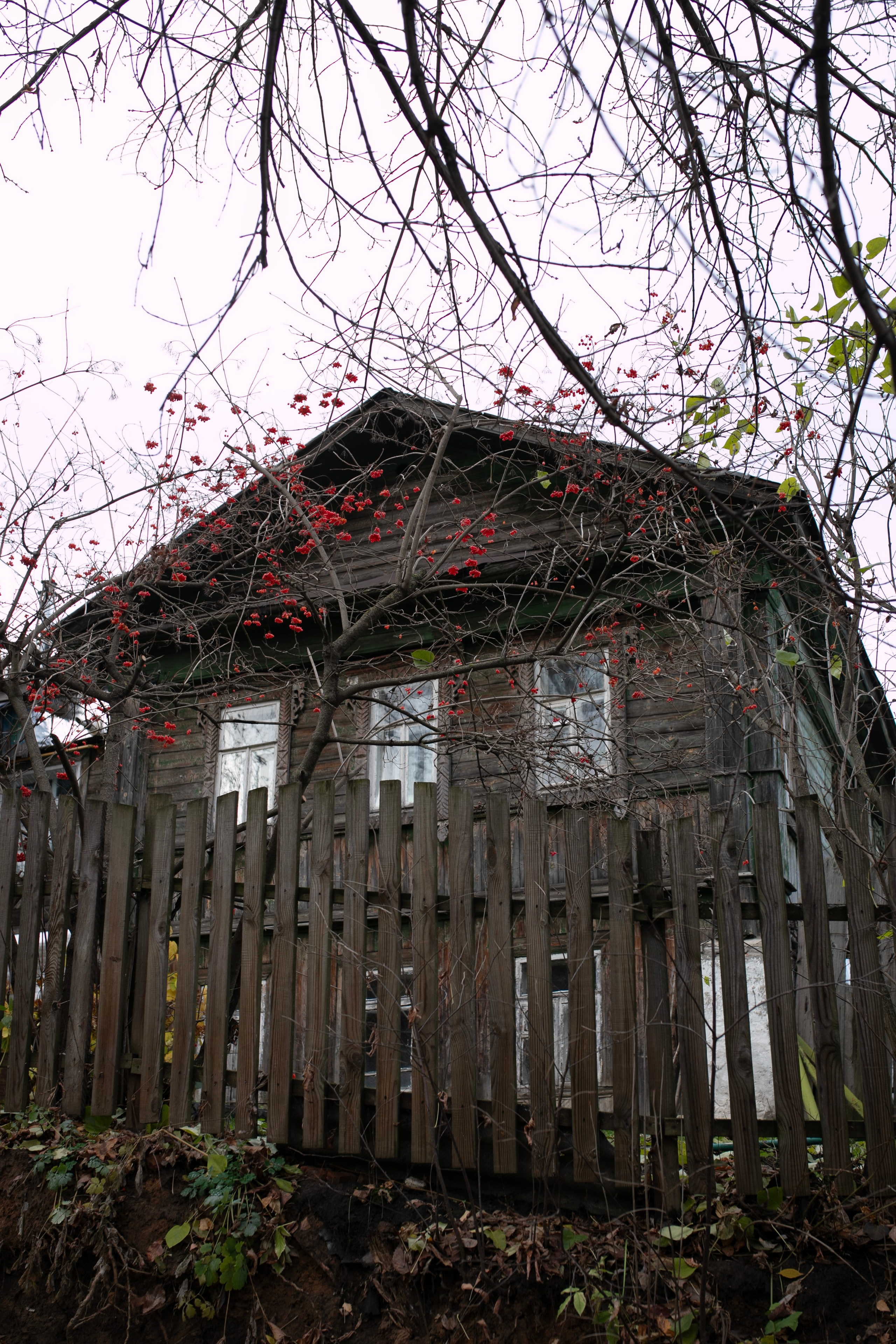 Муром — Гороховец'25. Фотограф-портретист в Москве