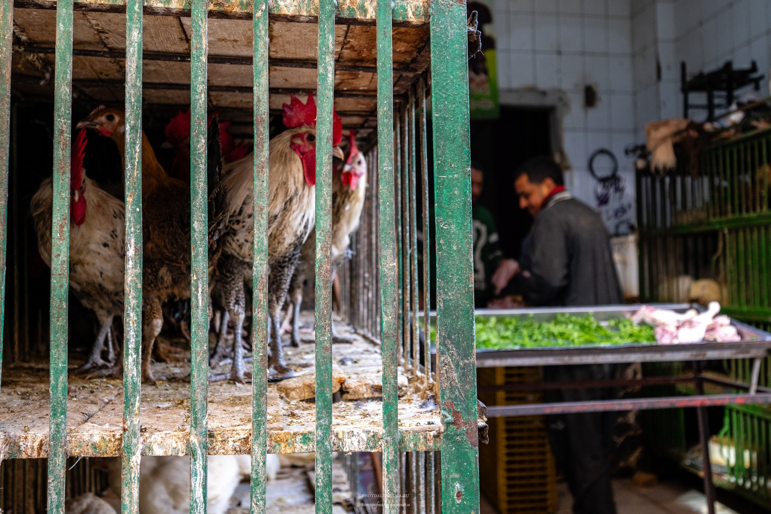 Пещерный монастырь и город мусорщиков. Авторские стильные фотокартины