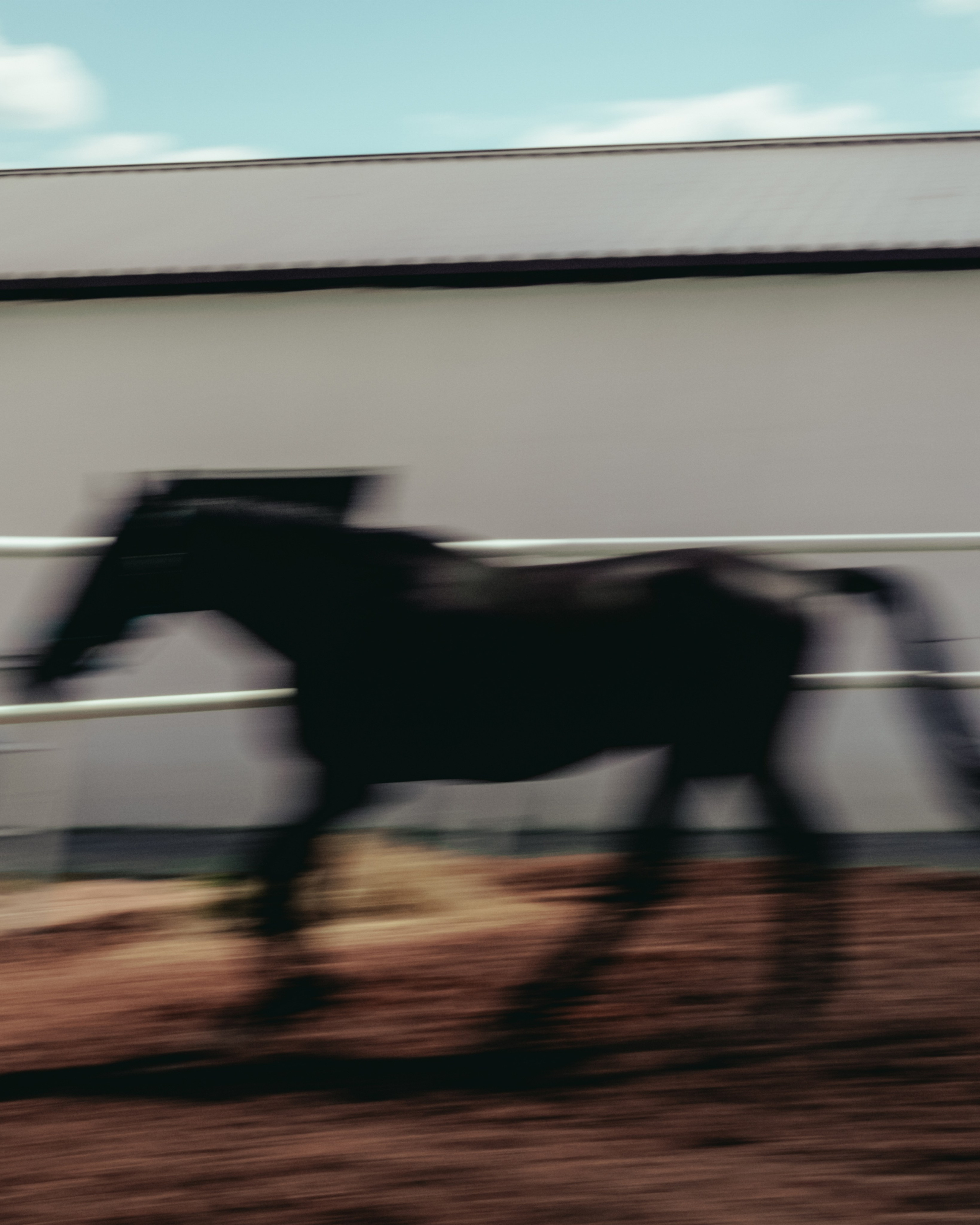 A64 — PORTFOLIO. Ivan Petrov photographer