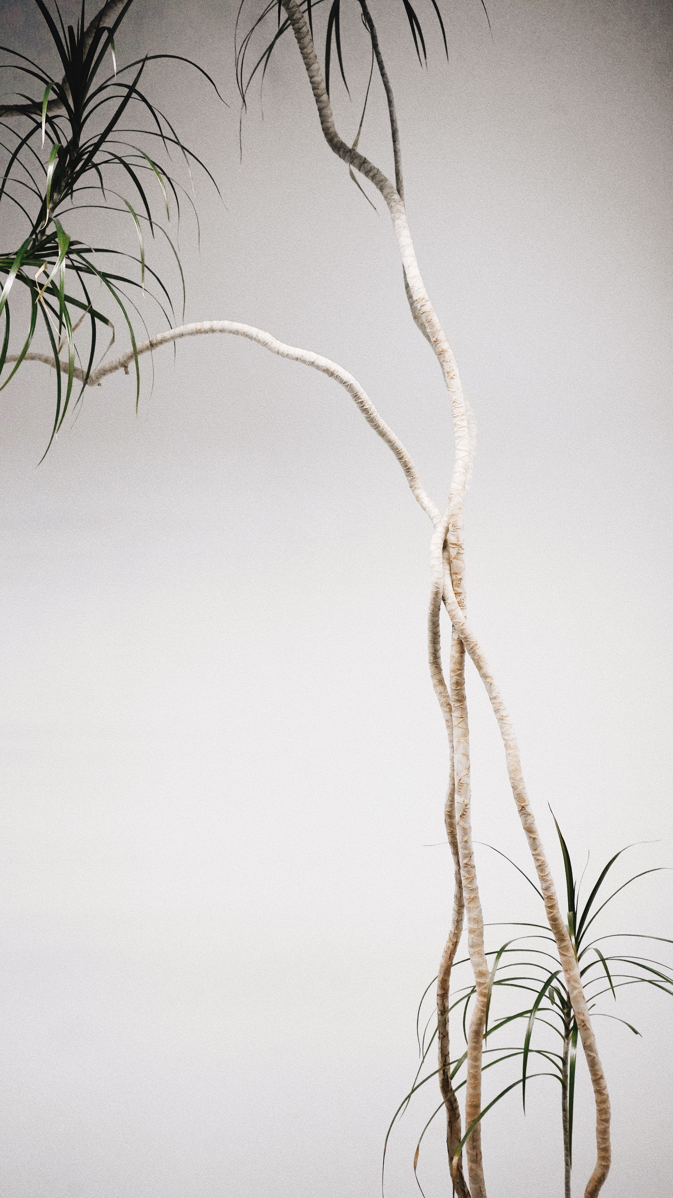 EKATERINA BOGDANOVA ─ PHOTOGRAPHER