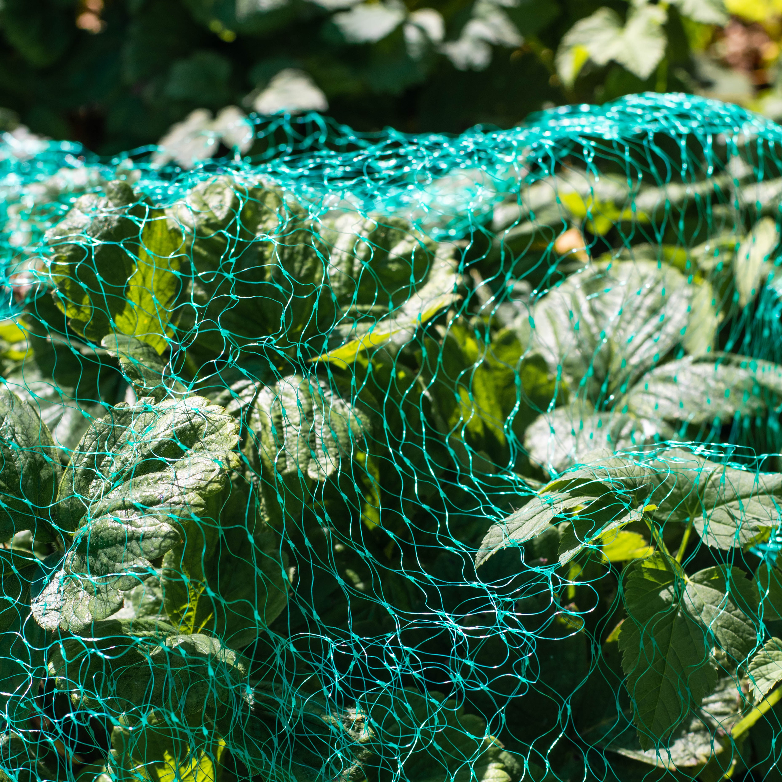 Товары для магазинов на маркетплейсах. Екатерина Бикбаева фотограф, видеограф, медиа-продюсер