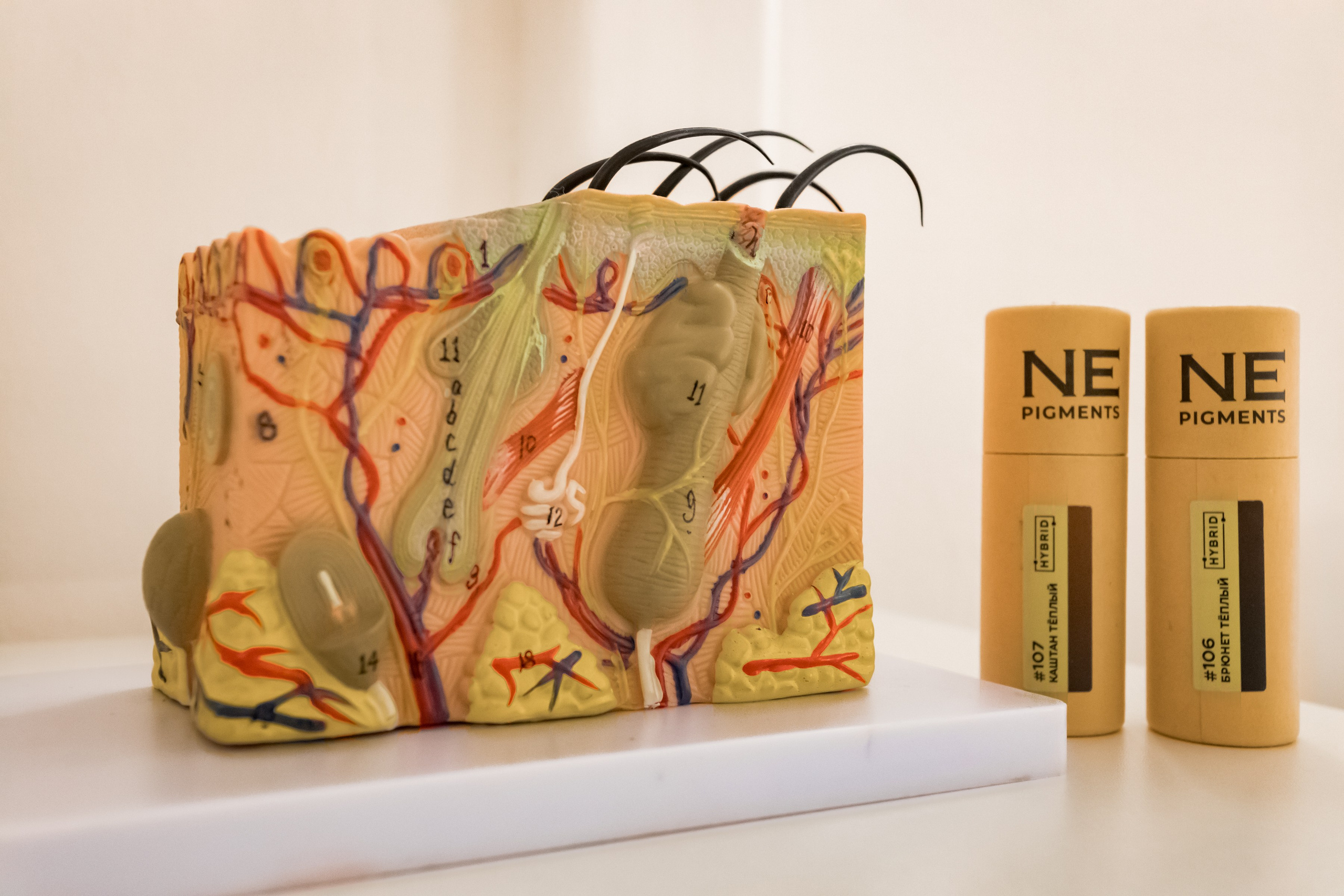 Студия перманентного макияжа Estetic в Балашихе. Интерьеры, Контент, Портреты | Фотограф в Москве Дани Терно