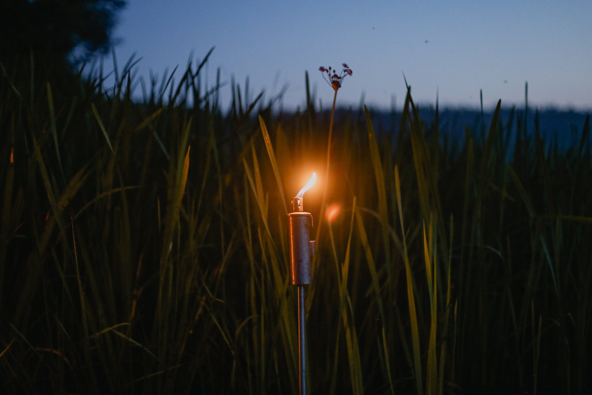 Репортажный фотограф в Минске. Профессиональный репортажный фотограф в Минске Максим Гупинец