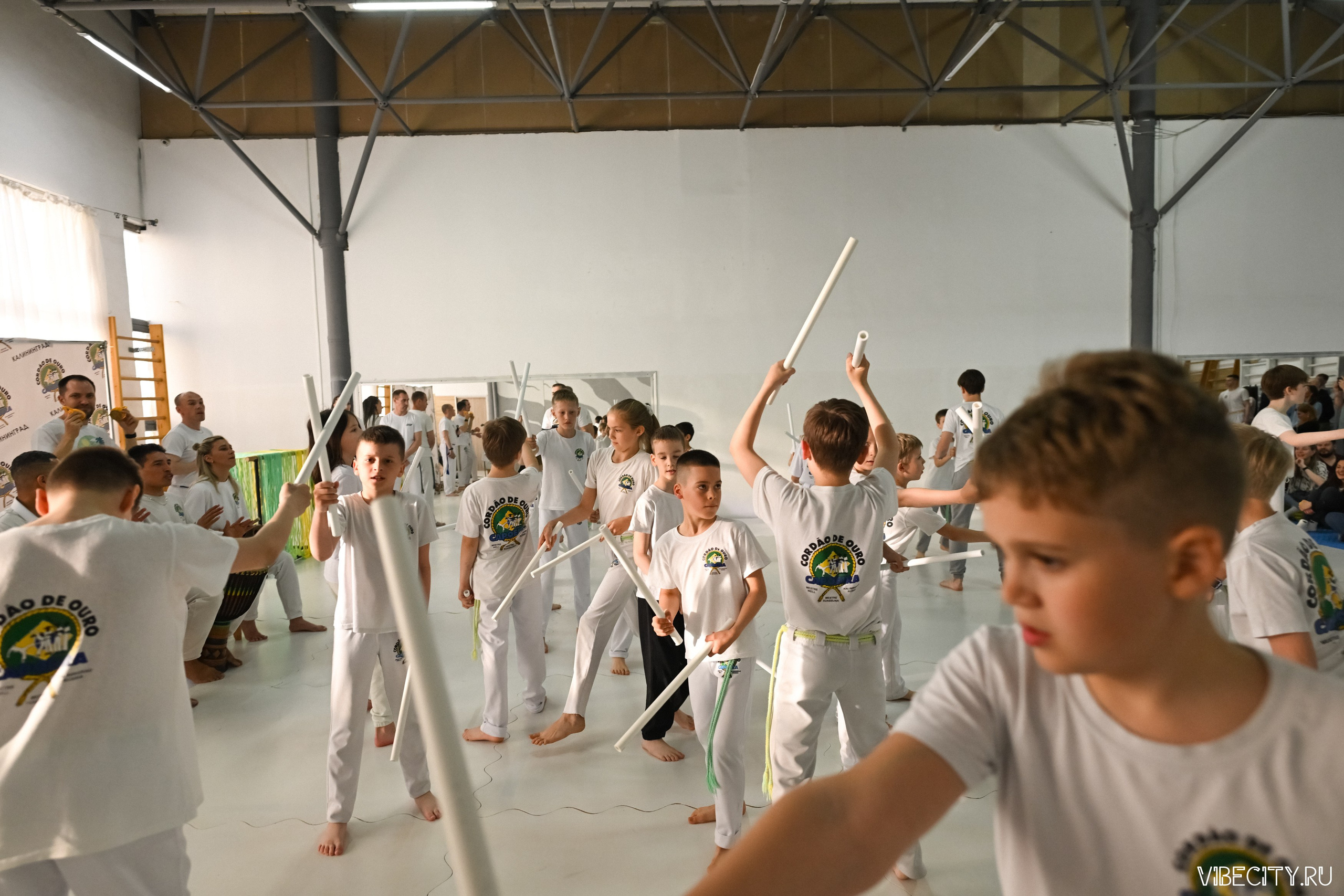 Capoeira: 4-е batizado e Troca de cordao. VIBECITY.RU Вайб Сити Ру Фоторепортажи Фотоотчеты Калининград