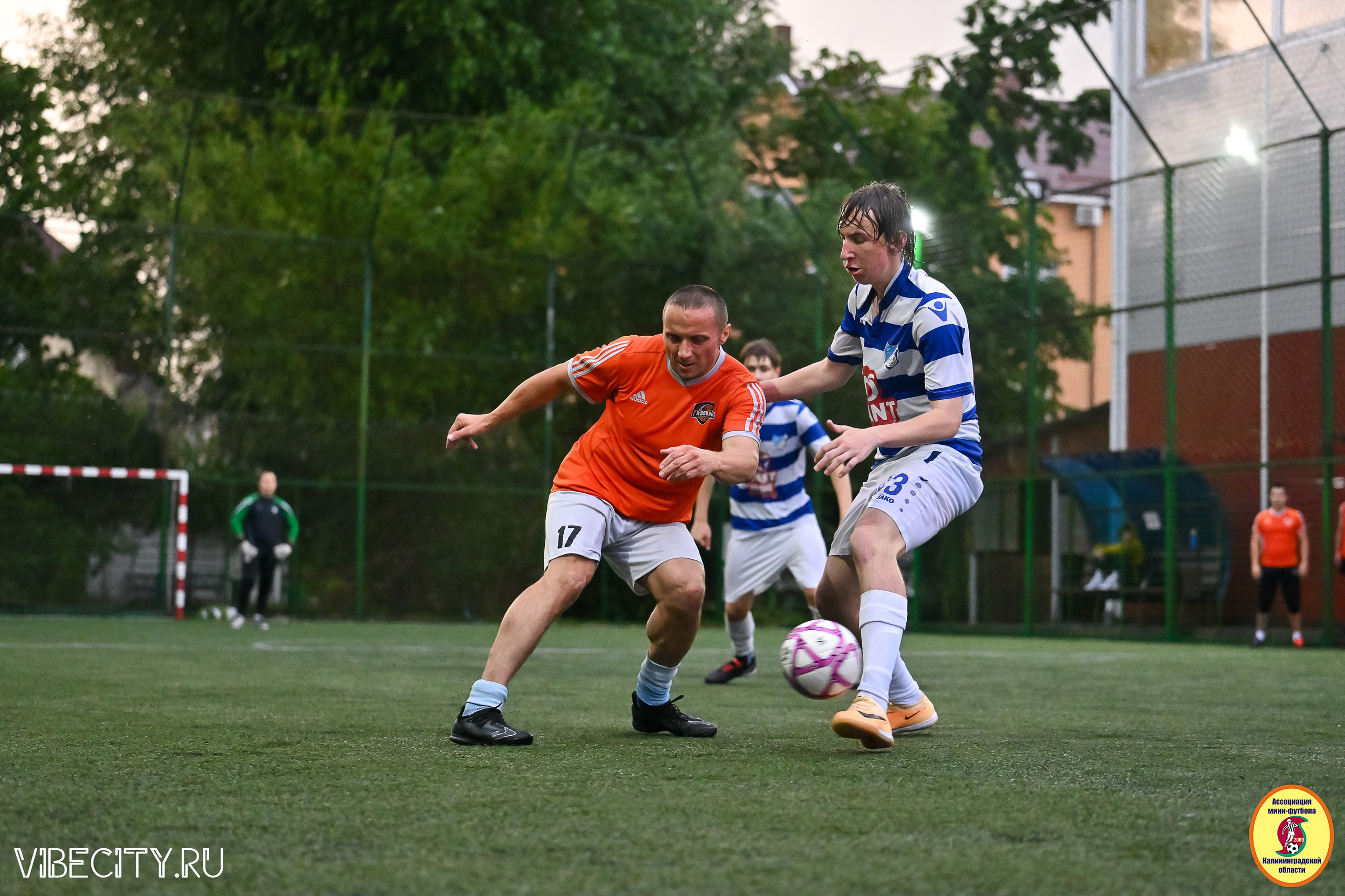 ИГРЫ МИНИ-ФУТБОЛЬНОЙ И КОРПОРАТИВНОЙ ЛИГИ. VIBECITY.RU Вайб Сити Ру Фоторепортажи Фотоотчеты Калининград