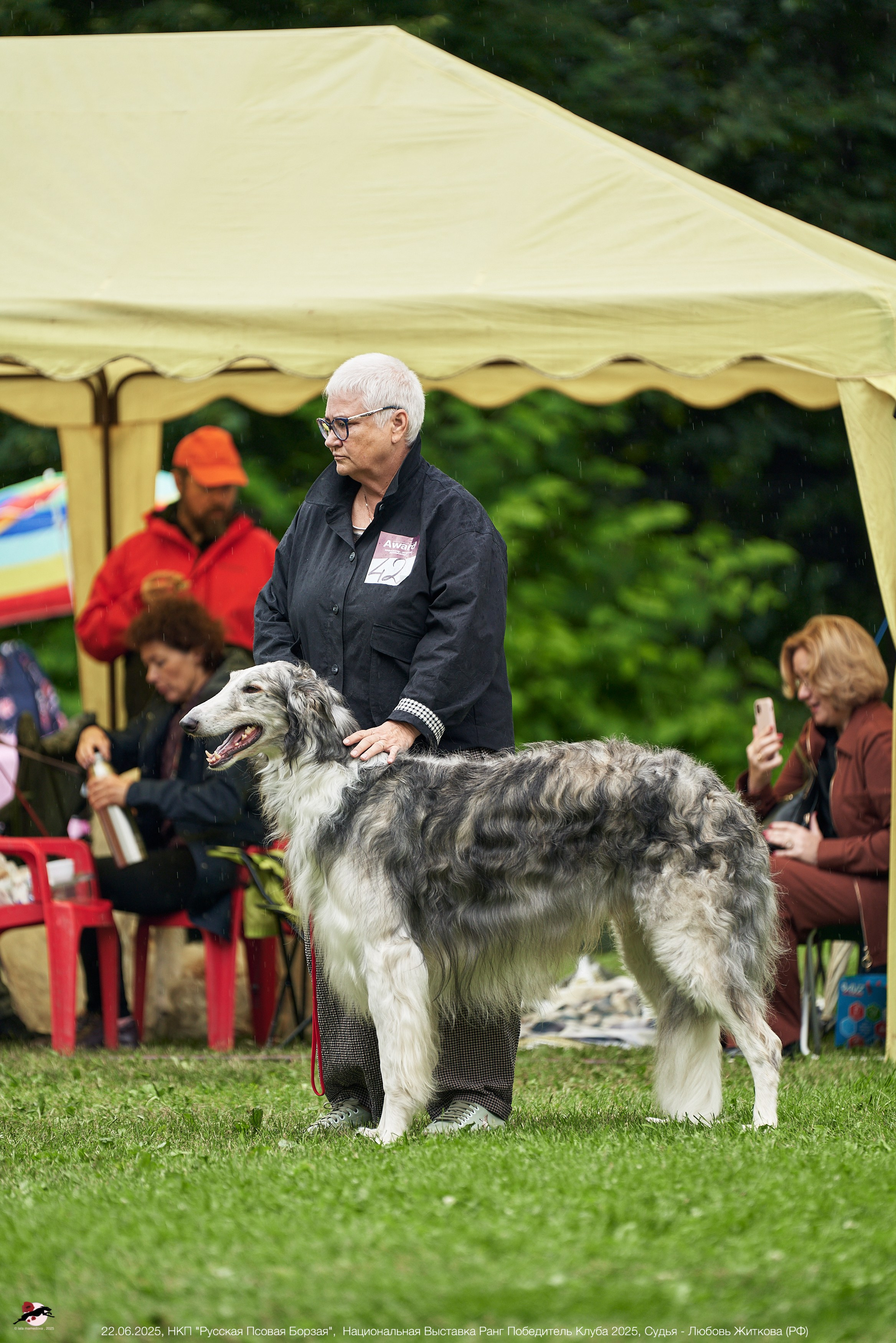 22.06.2025 | Национальная Выставка НКП "Русская Псовая Борзая"