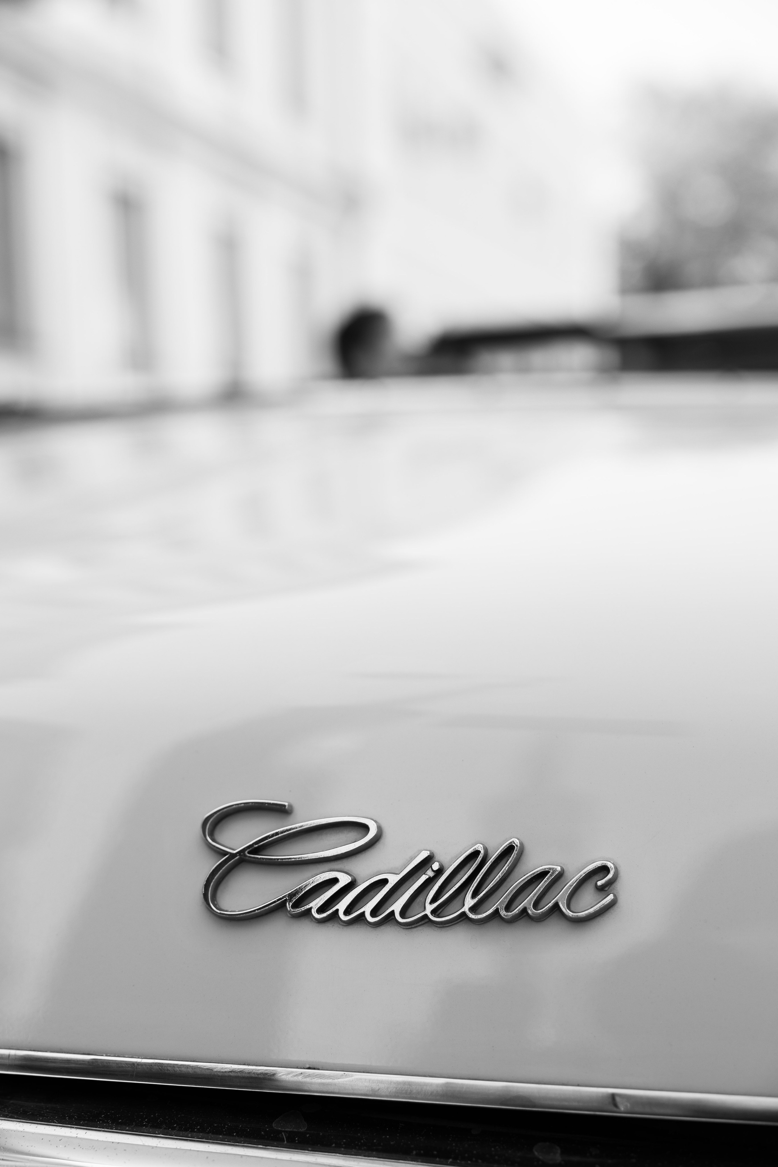 Свадебный фотограф Тула Москва СПБ / Сёмина Дарья