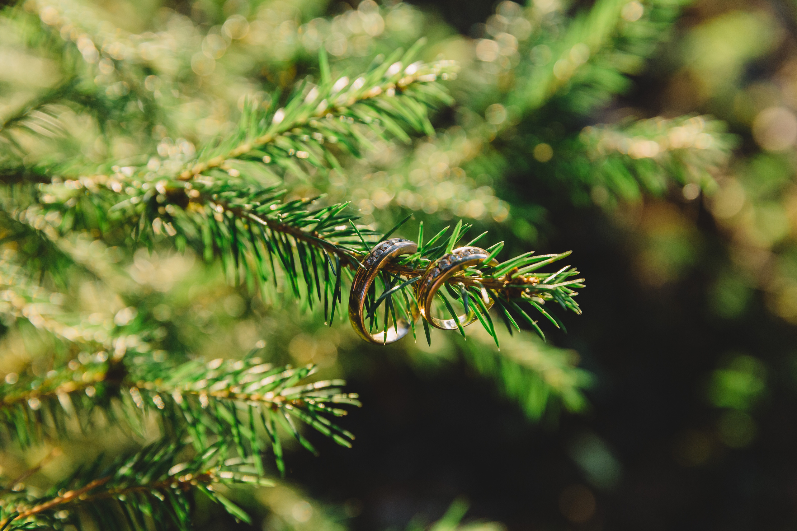 Свадьбы и Love Story. Выпускные альбомы в Томске. Фотограф Сергей Стёпин