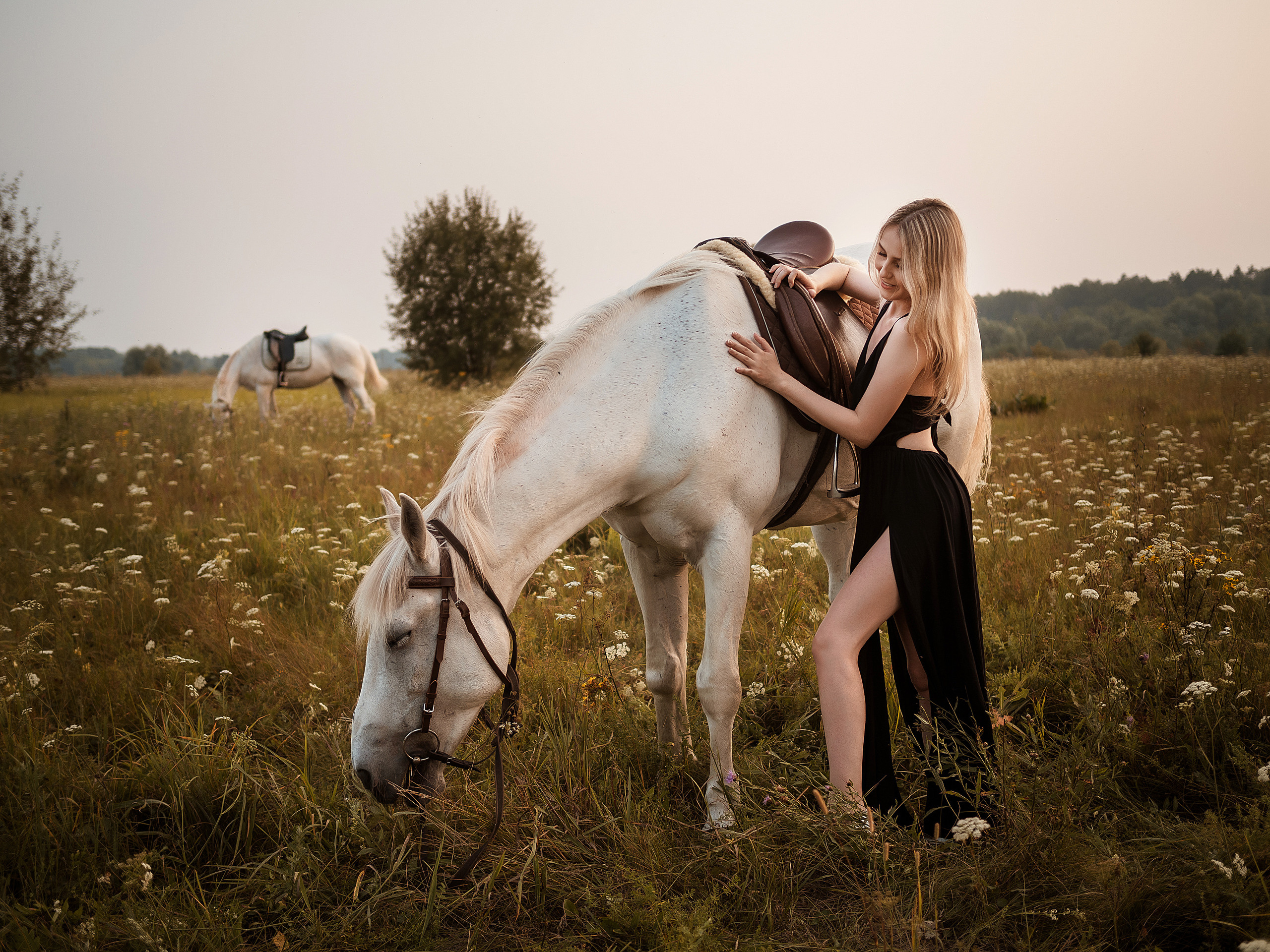 Фотодни с лошадьми лето 2019. Свадебный и портретный фотограф в Анталии Алина Фаизова